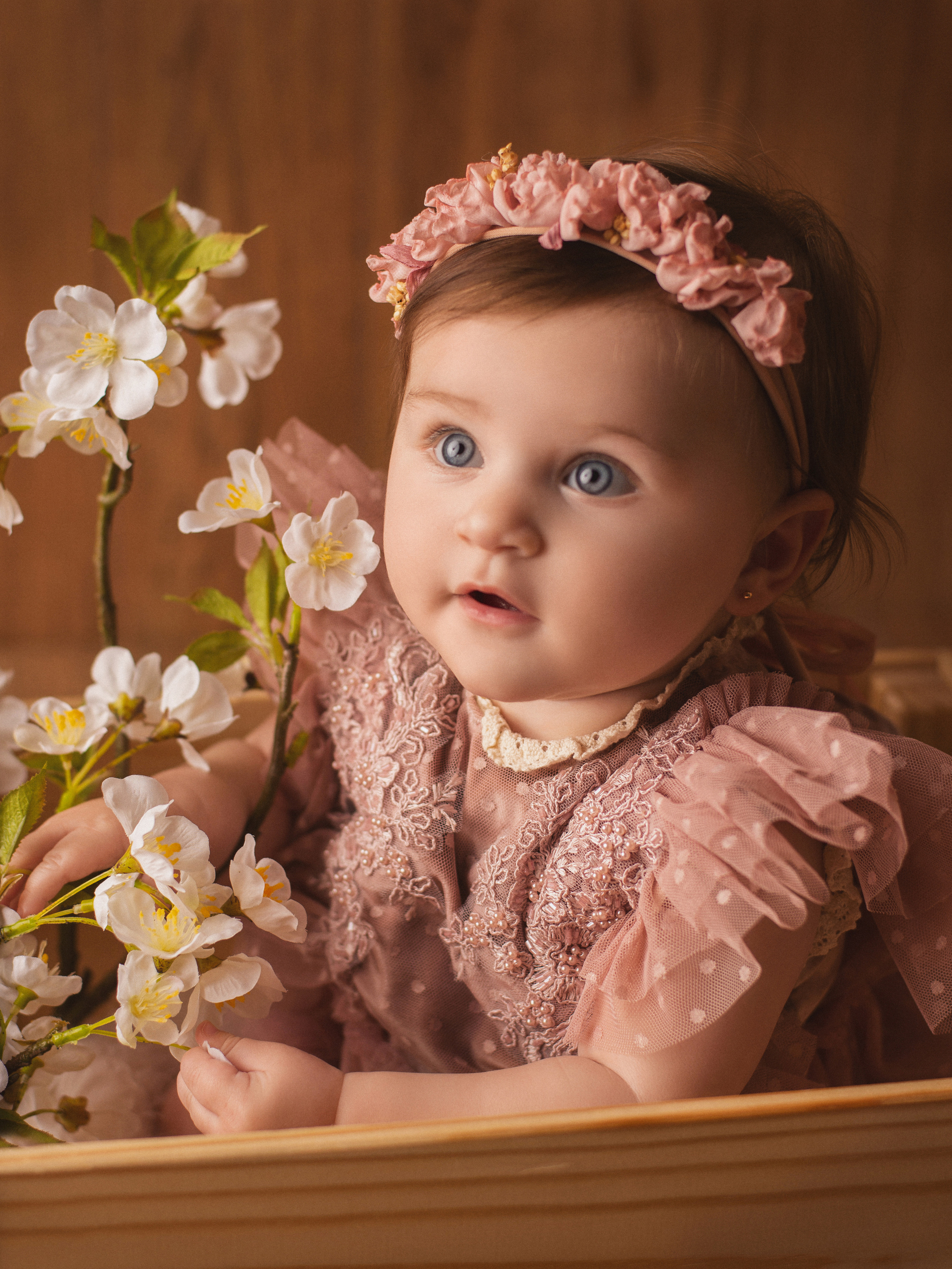 My First Year Package. A Girl. Ottawa Newborn and Baby Newborn Photographer Elena Helali