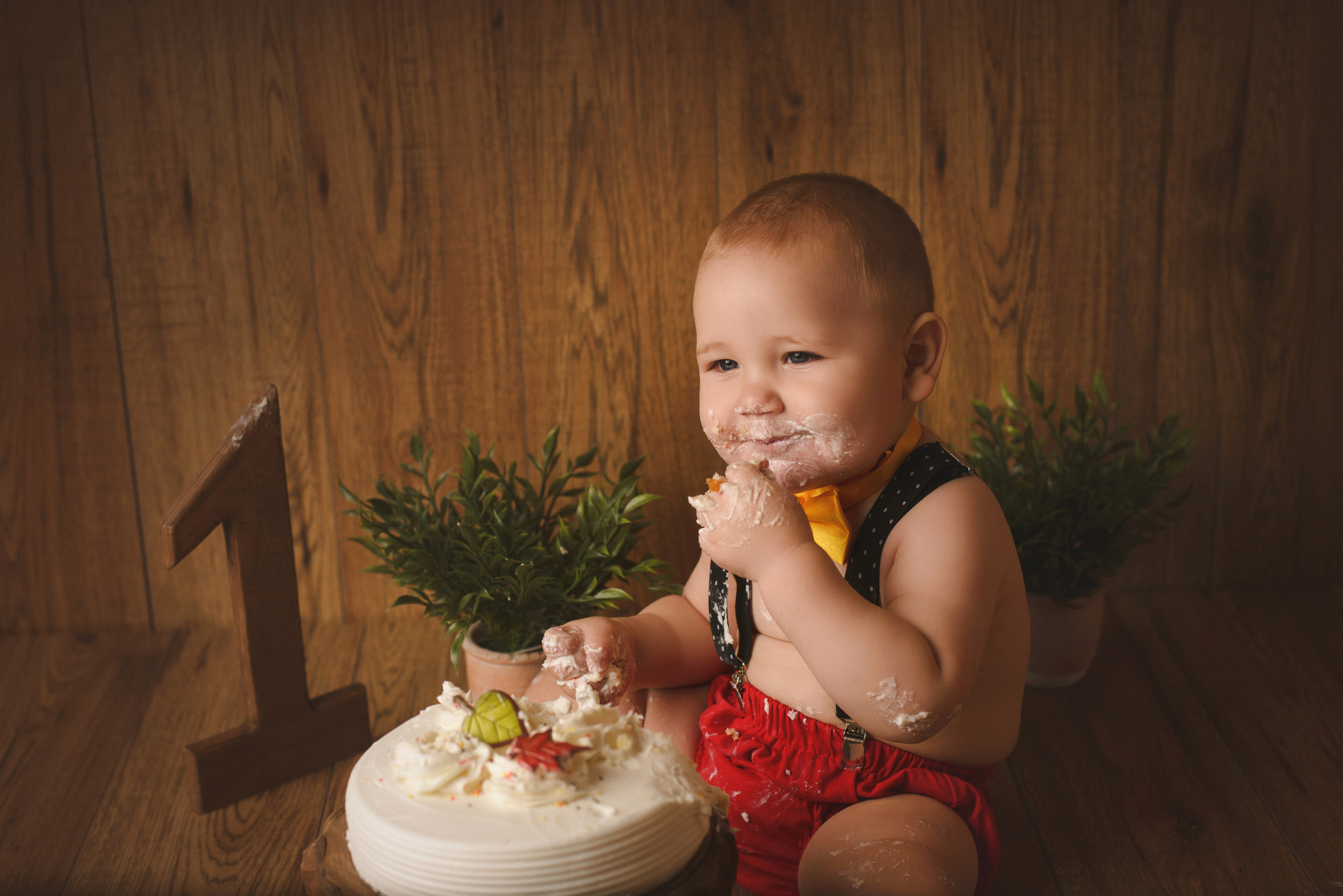 My First Year Package. A Boy. Ottawa Newborn and Baby Newborn Photographer Elena Helali