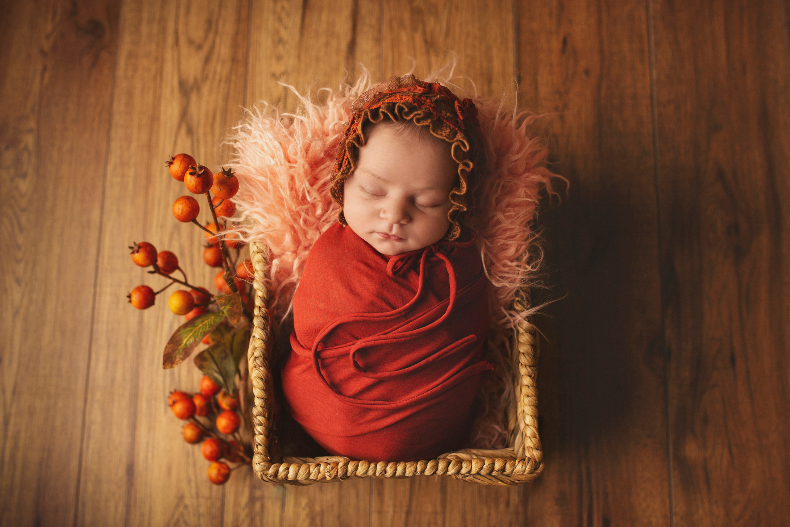 My First Year Package. A Girl. Ottawa Newborn and Baby Newborn Photographer Elena Helali