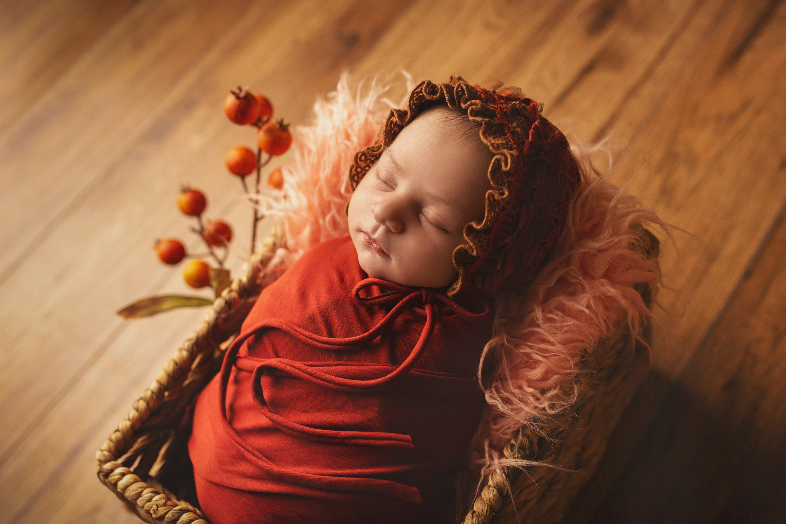 My First Year Package. A Girl. Ottawa Newborn and Baby Newborn Photographer Elena Helali