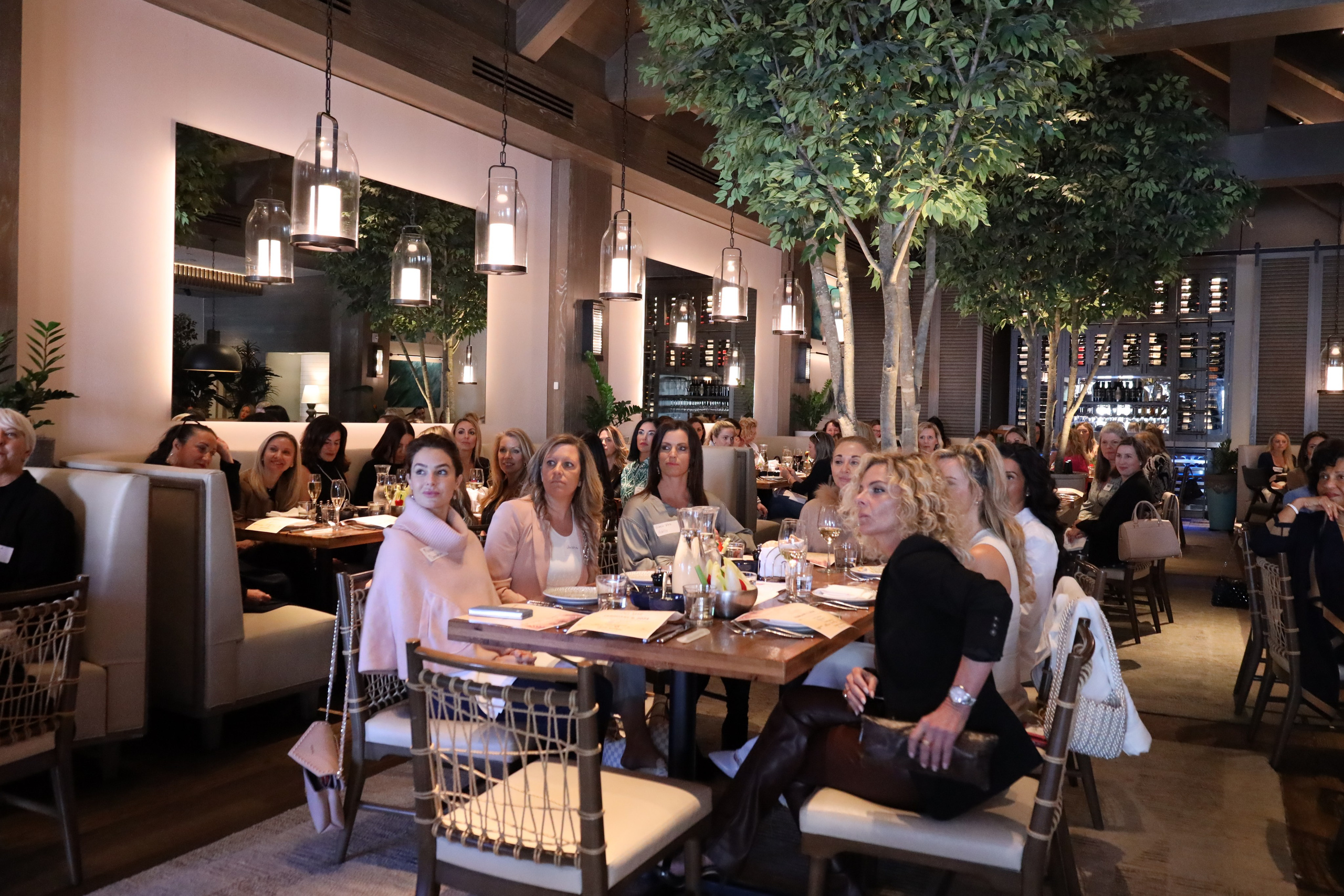 Home. Out and About 239