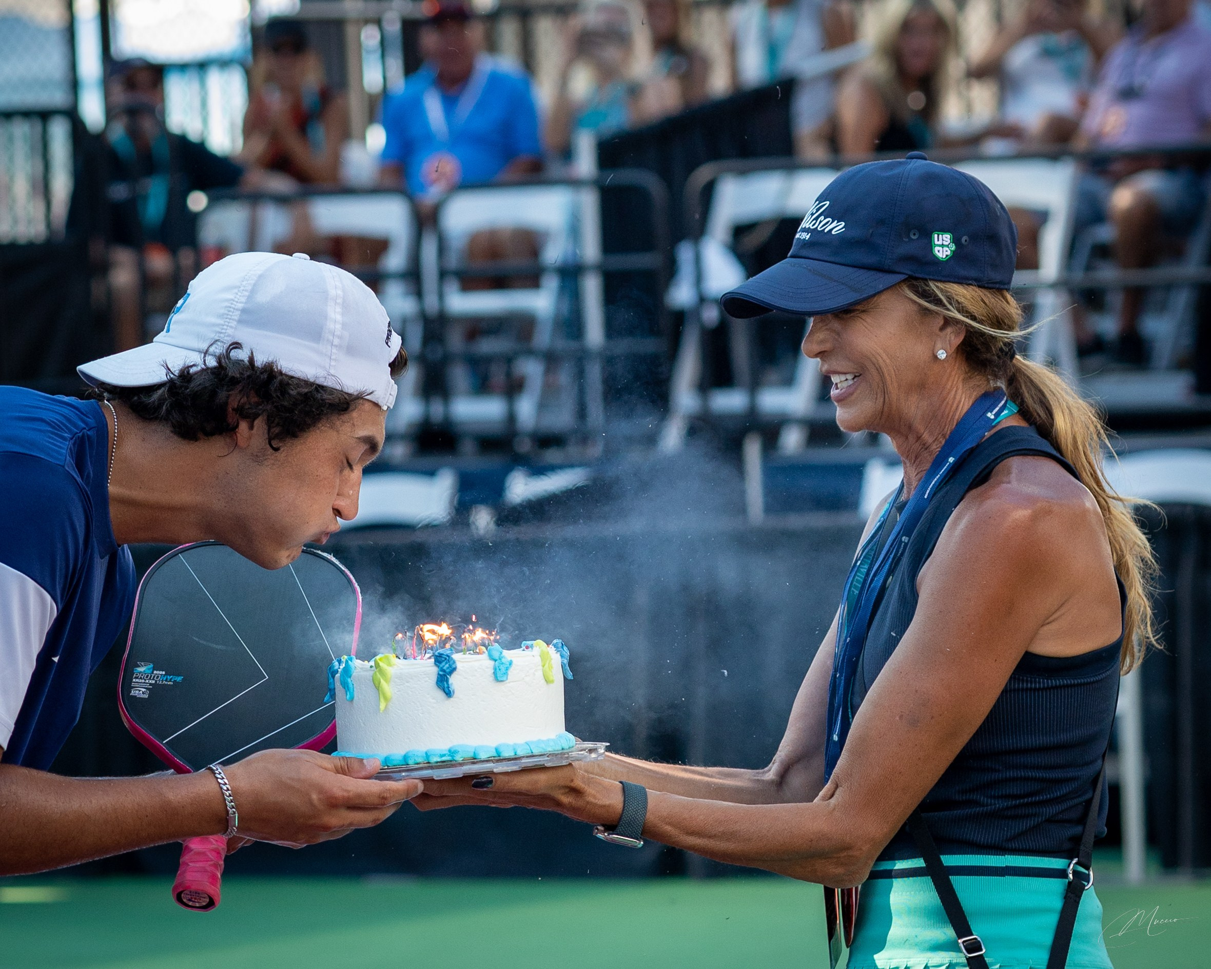 Home. Out and About 239