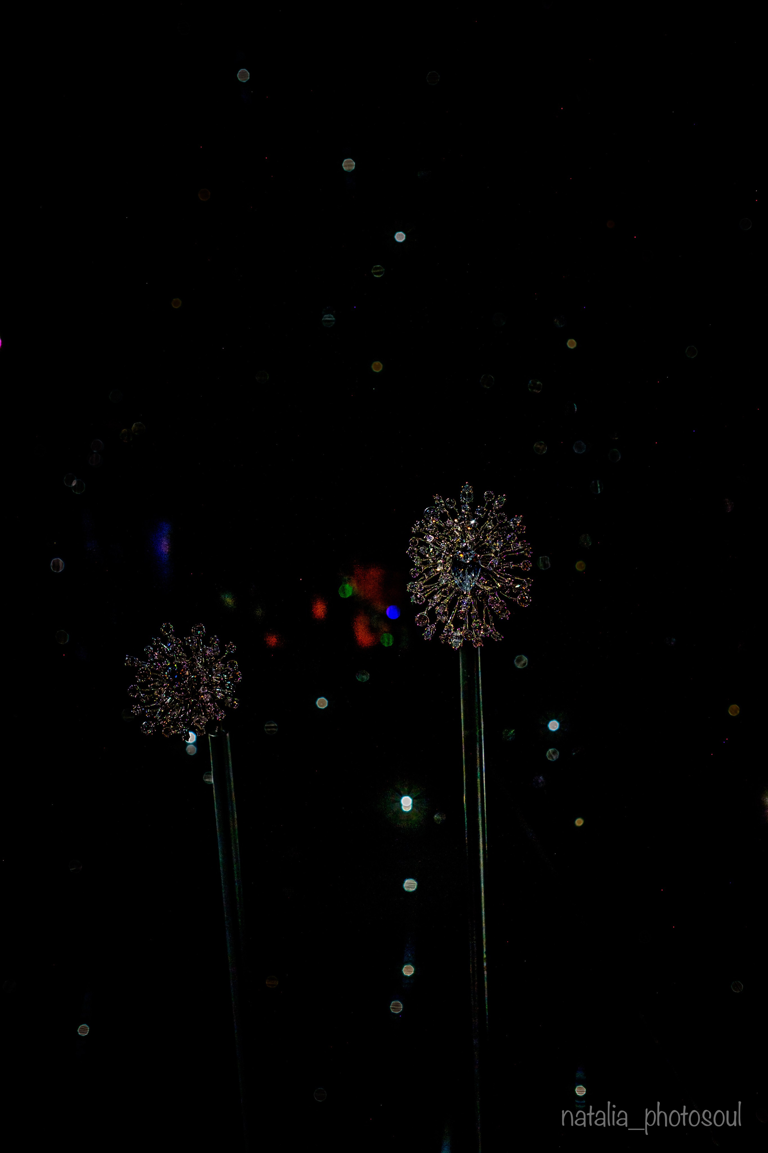 SWAROVSKI MASTERS OF LIGHT FROM VIENNA TO SEOUL. Photographer in Seoul Dobrokvashina Natalya