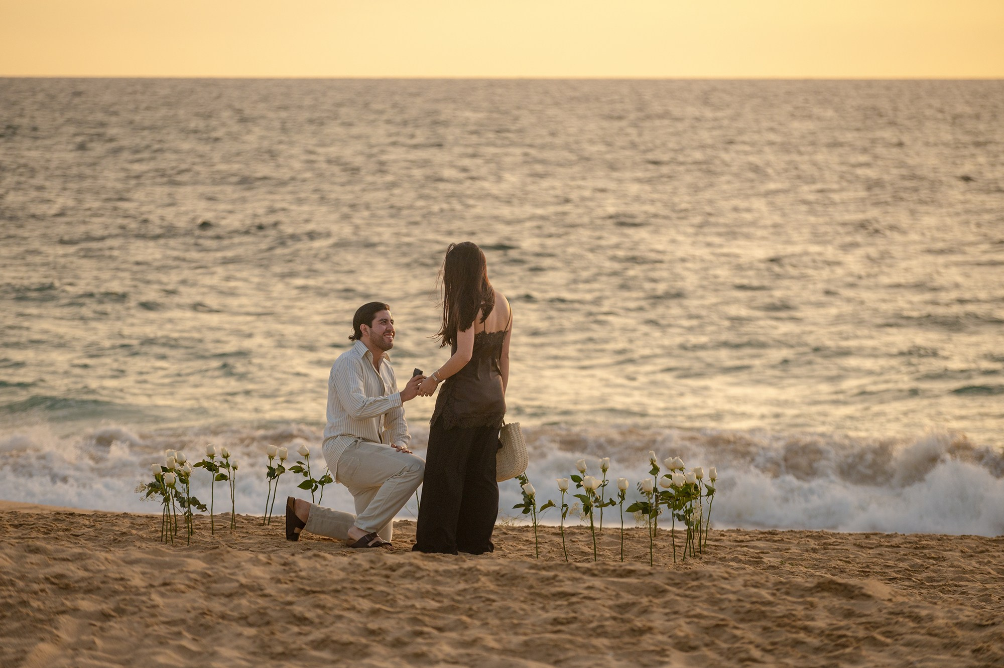 Circle of roses on the beach for a surprise proposal in Los Cabos Mexico