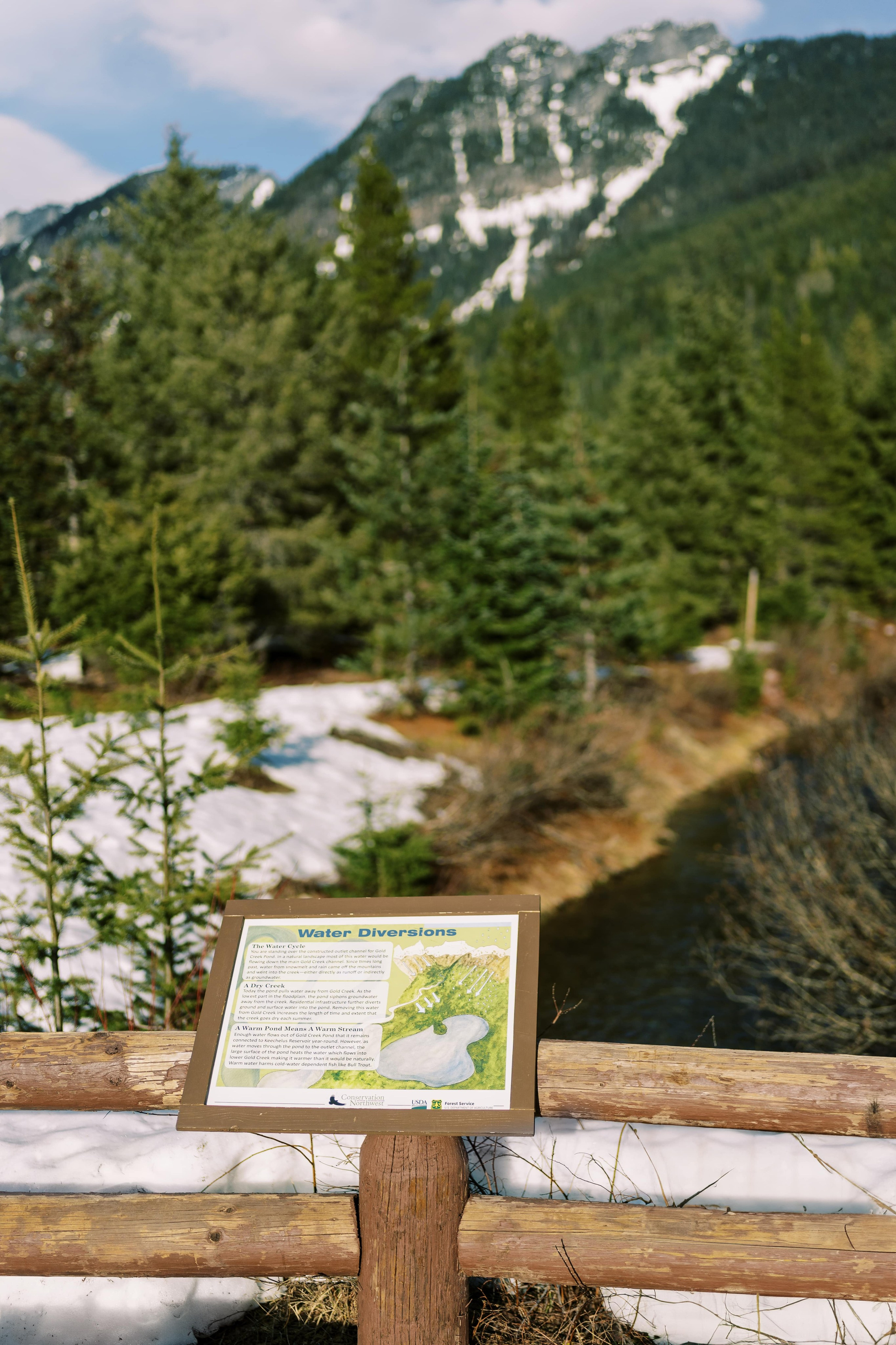 Engagement photo shoot Caitlyn & Riley / April 2024. Gold Creek Pond, WA. EVAN ARISTOV WEDDING PHOTOGRAPHY — Seattle Wedding Photographer