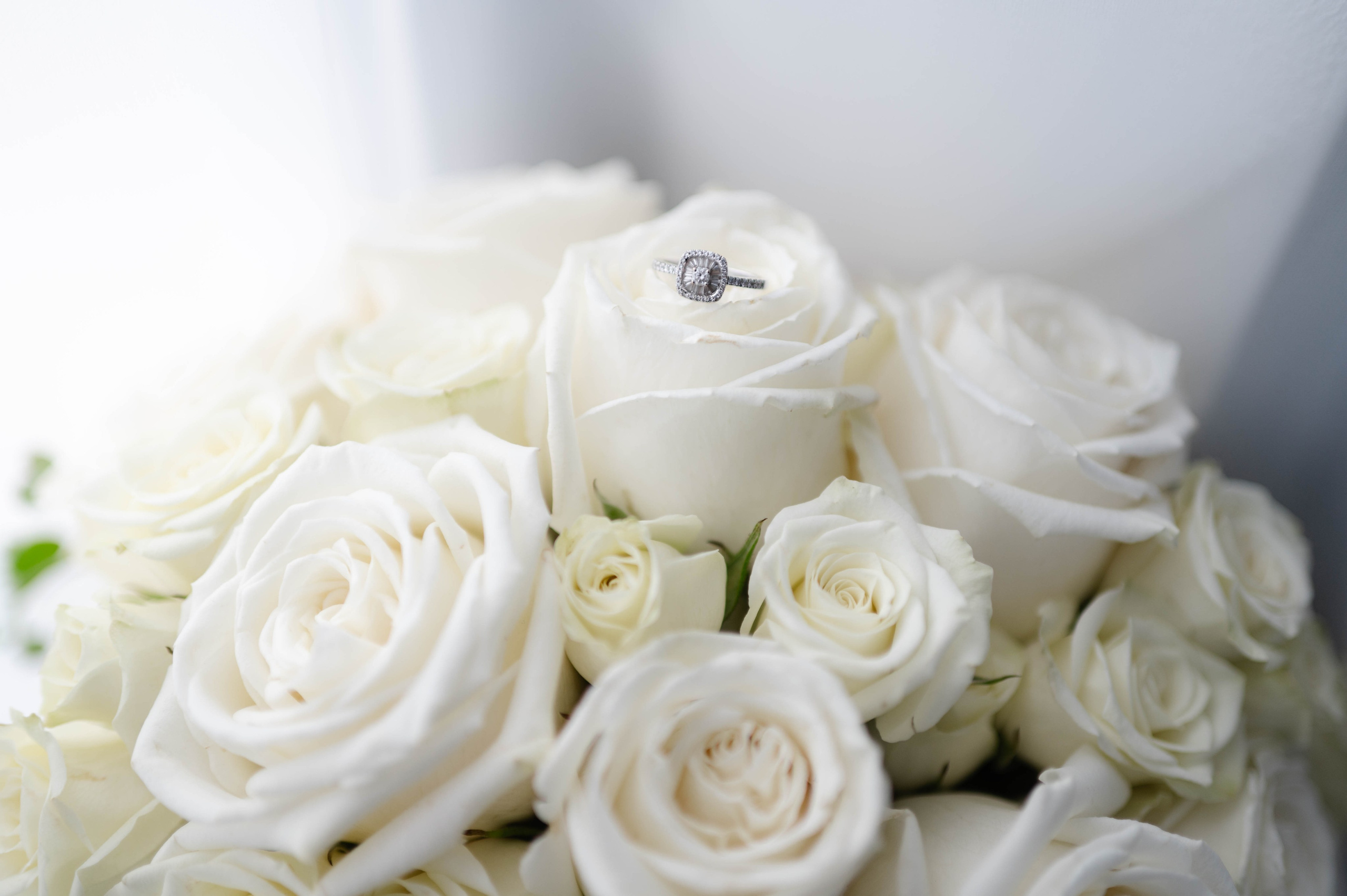 About me. Alexandra Hanu Photographer