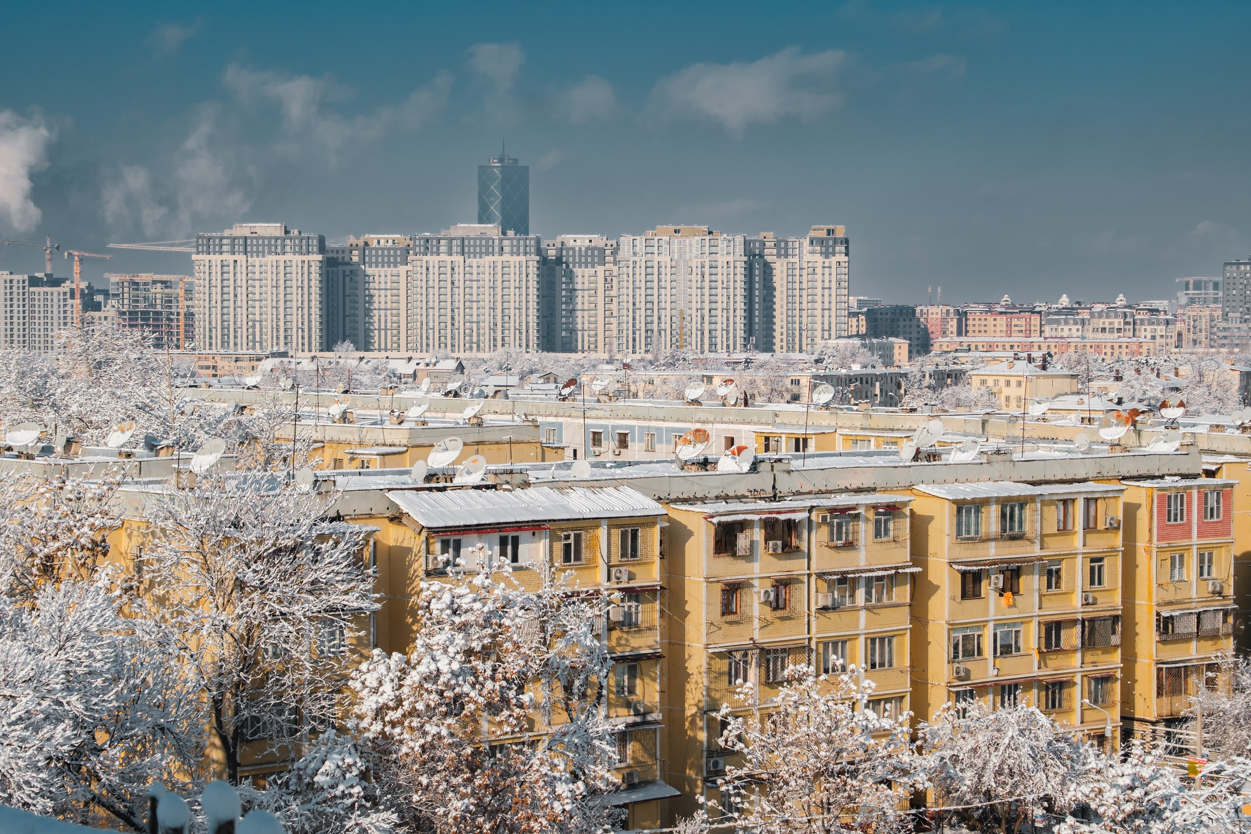 Обзор на объектив 16-300мм Sigma. Личные впечатления и опыт использования. Фотограф Григорий Кравец