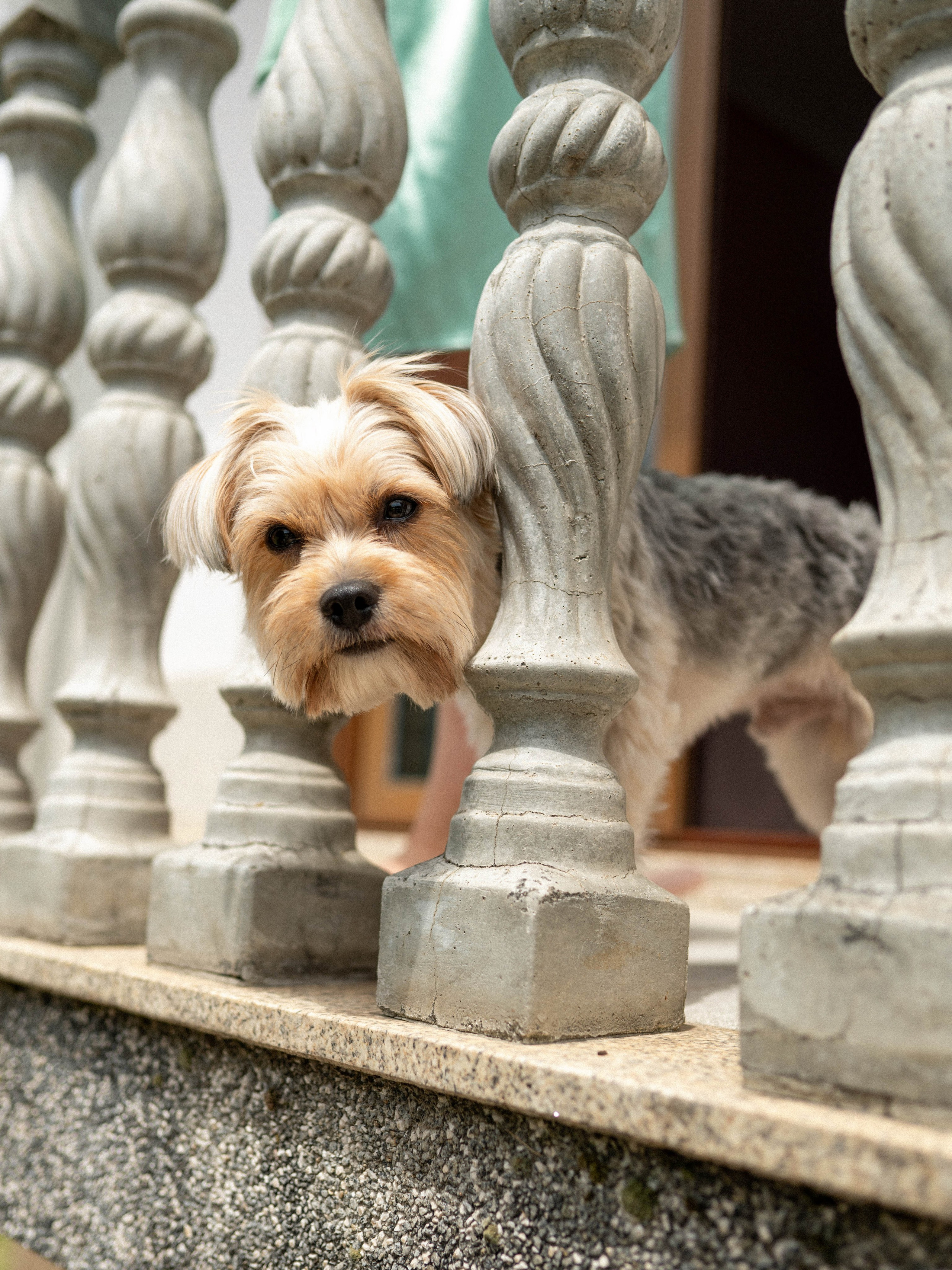 Braga Wedding Photographer | Fica. Portugal Wedding Photographer | Fica