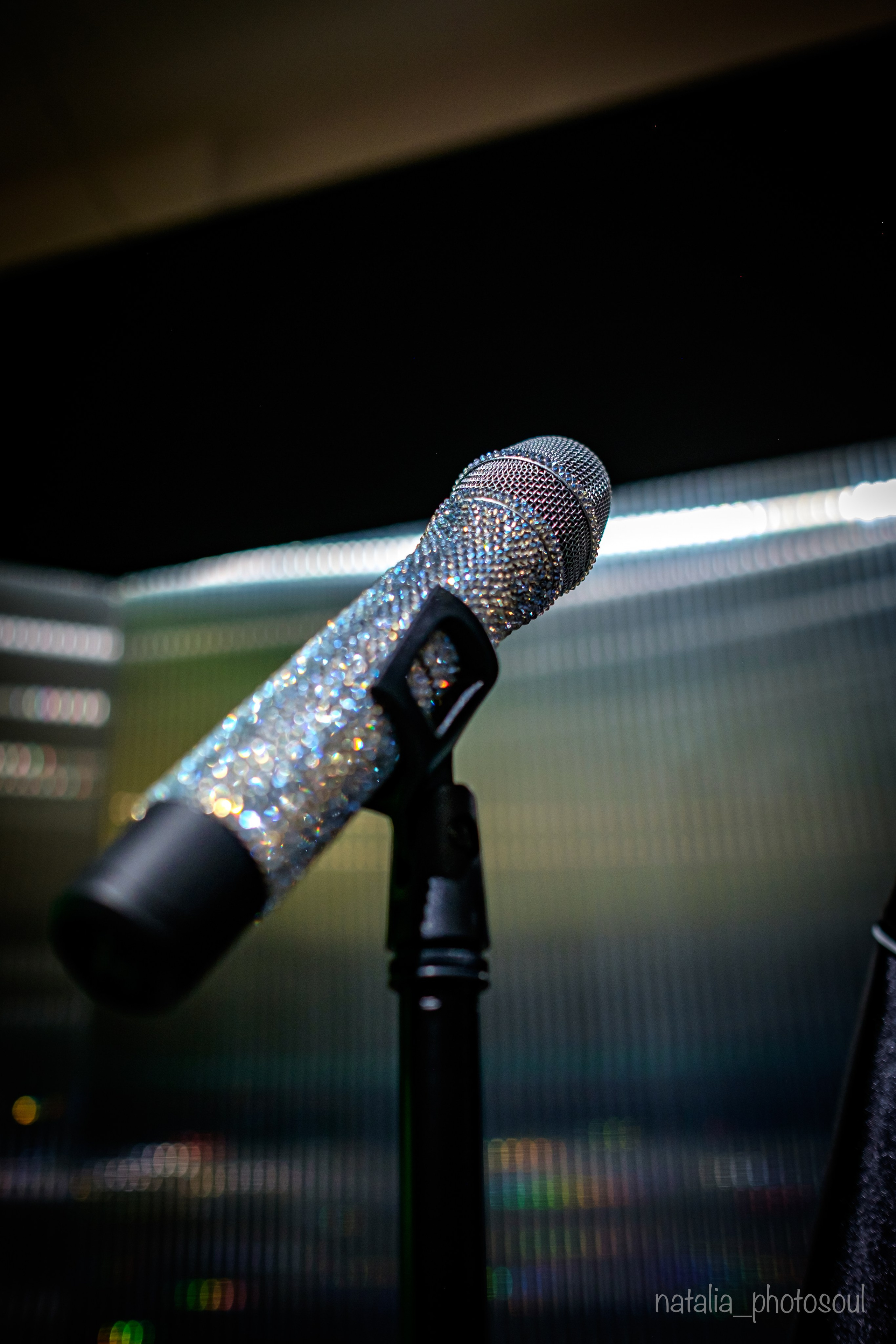 SWAROVSKI MASTERS OF LIGHT FROM VIENNA TO SEOUL. Photographer in Seoul Dobrokvashina Natalya