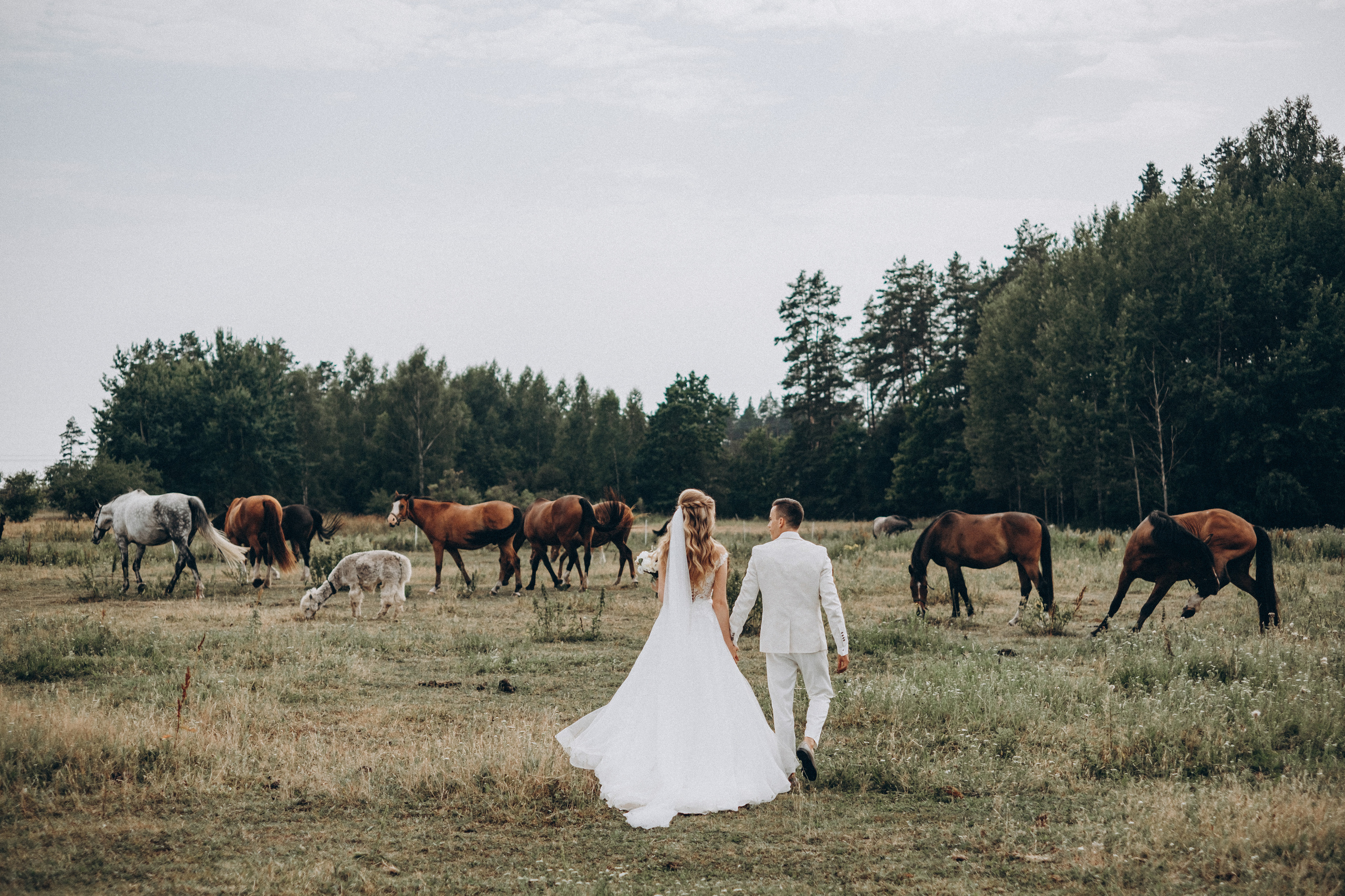 Kāzu foto piedāvājums