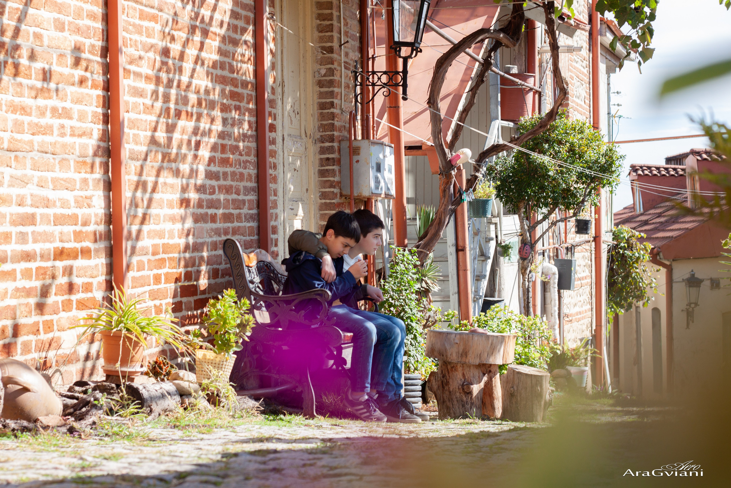 სიღნაღი გადარბენით. FramefreeMan