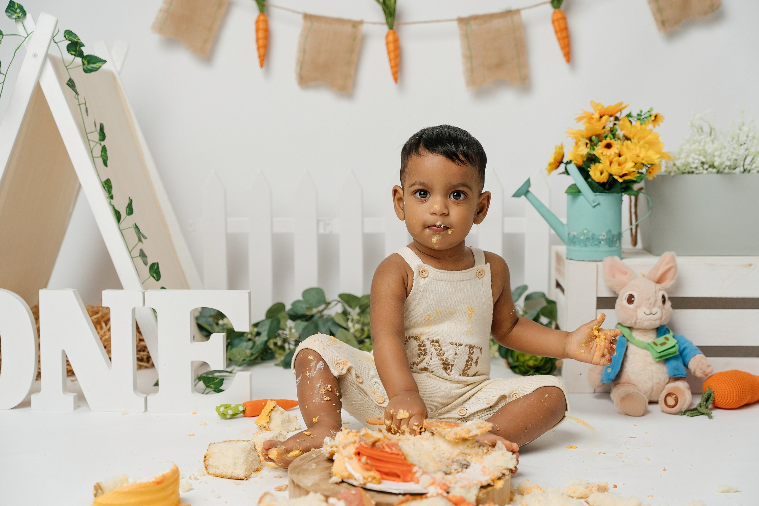 Peter rabbit cake smash session. Newborn and family photographer. Hills District. Sydney