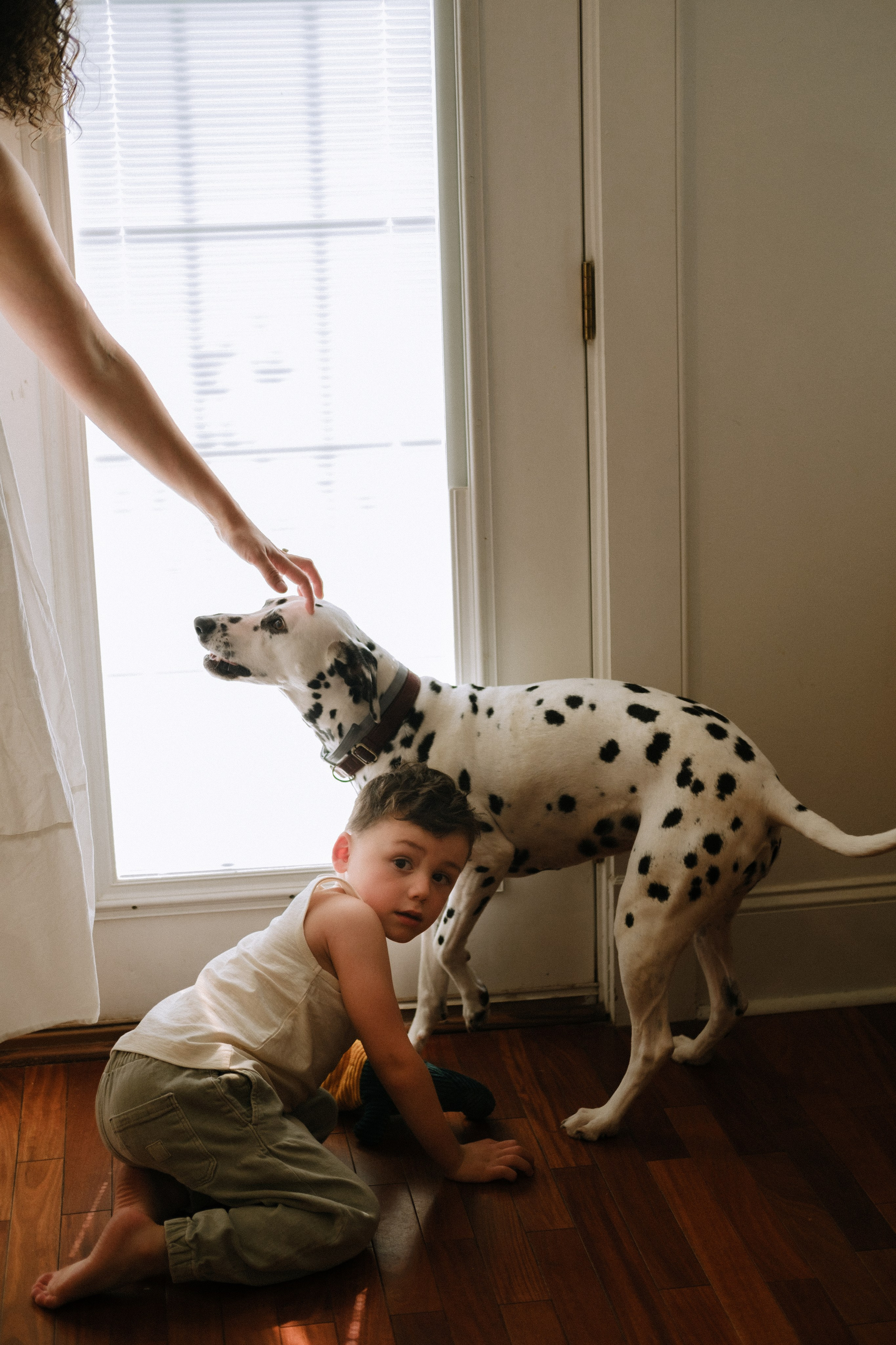 Family Photography Portfolio | Artistic & Documentary Family Sessions in Richmond, VA. Family Photographer Anna Dobrovolskaia | Richmond, VA