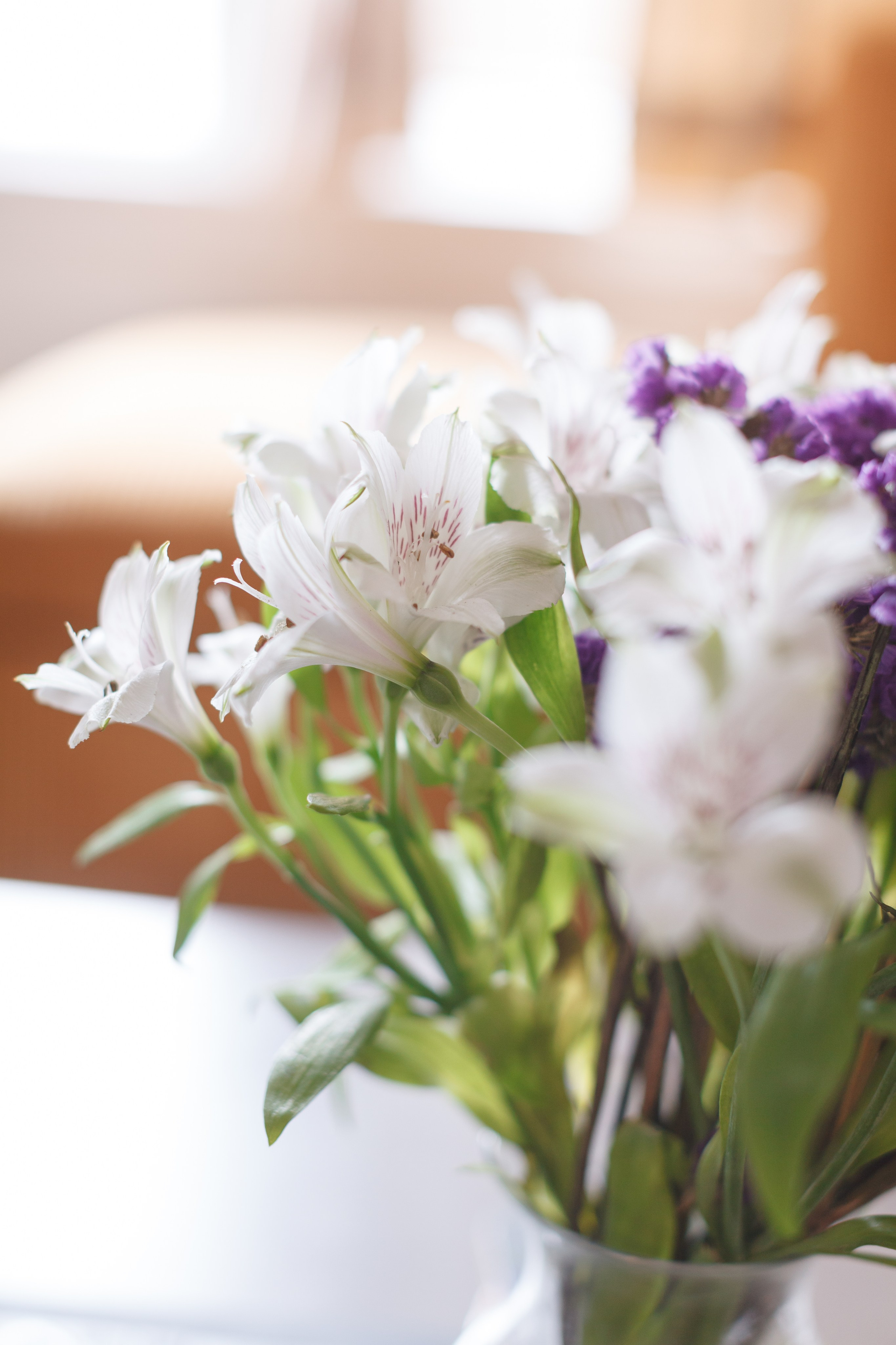 Services. Marina Pravda Photography San Francisco Bay Area