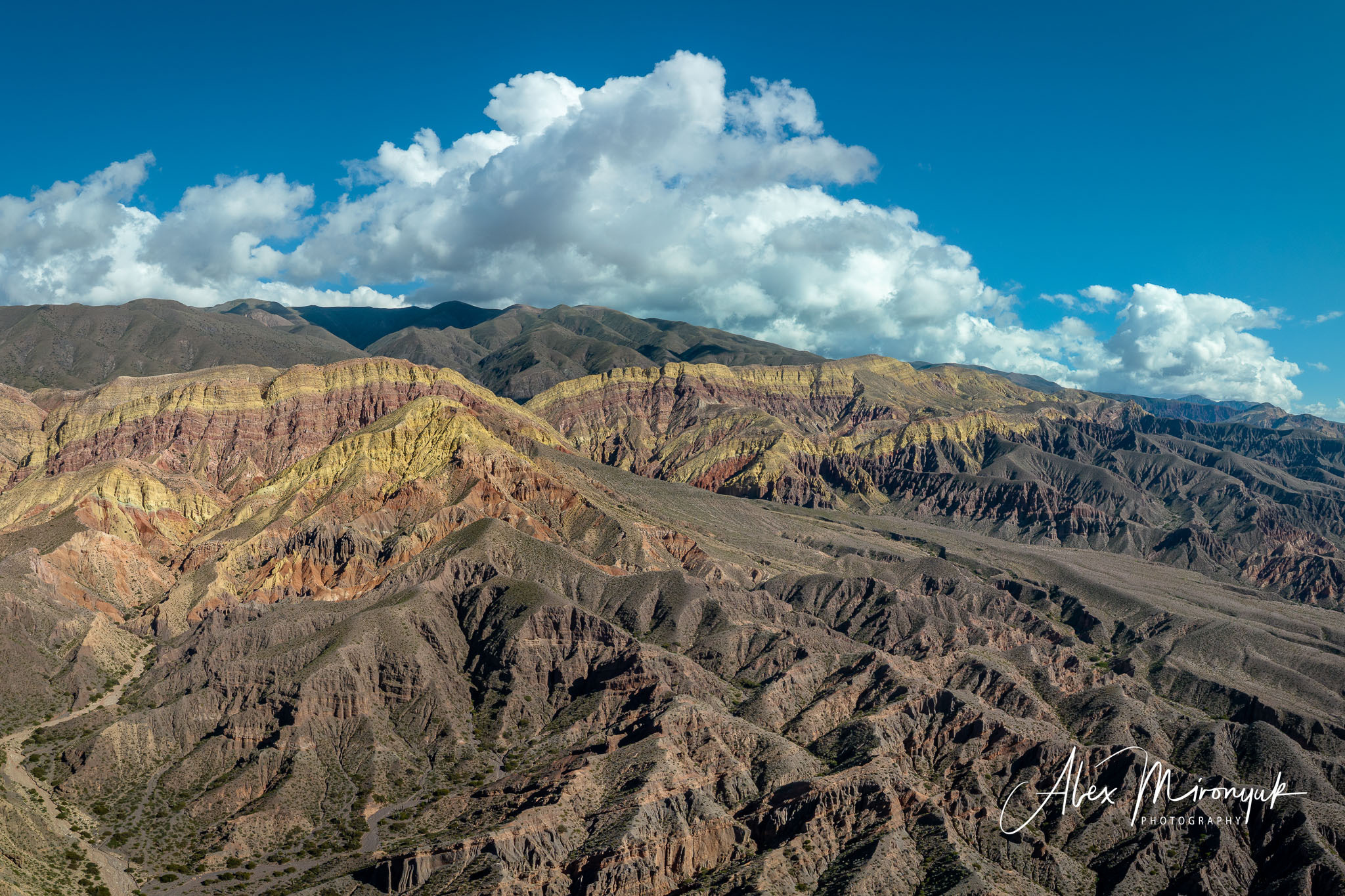 Unknown Northern Argentina. Pet, Senior, Landscape, portrait studio, photographer in Miami and Sou