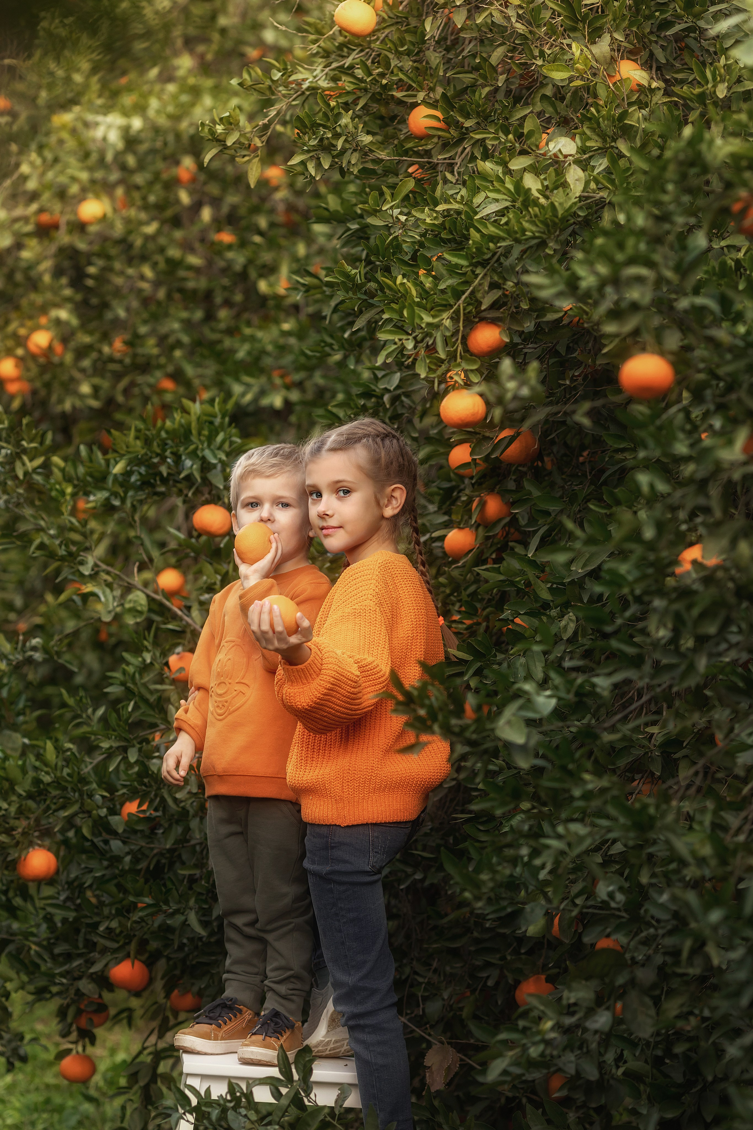 Family photoshoot. Photographer in Cyprus