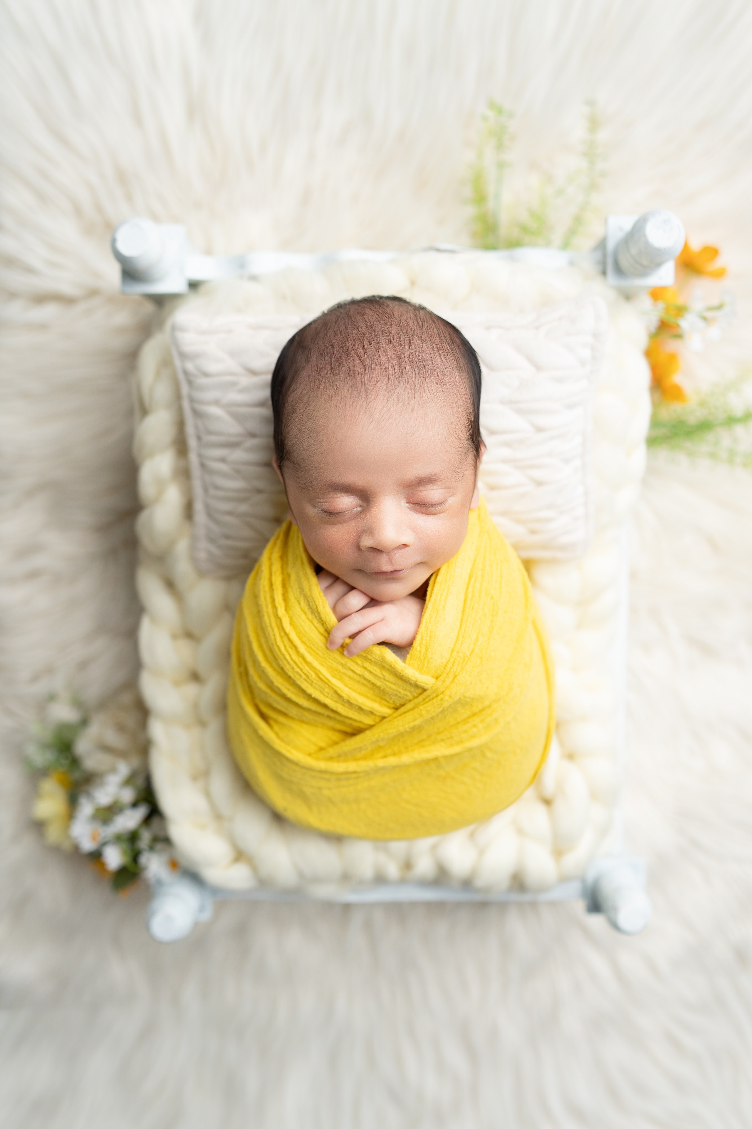 Posed Newborn. Maternity, family and newborn photography in San Francisco Bay Area