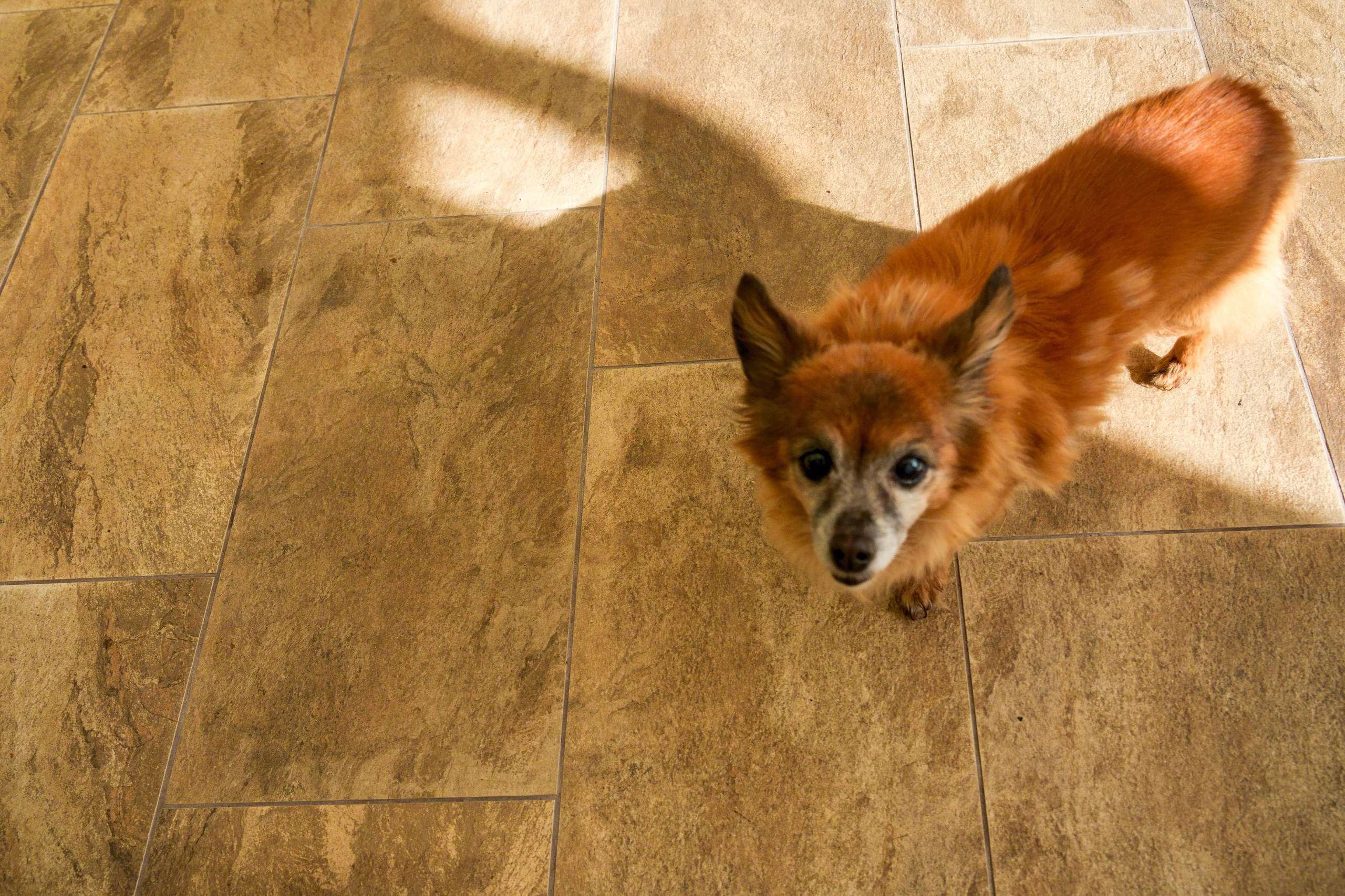 Ežerėlio g. 10. Elina Sapiega fotografė Vilniuje