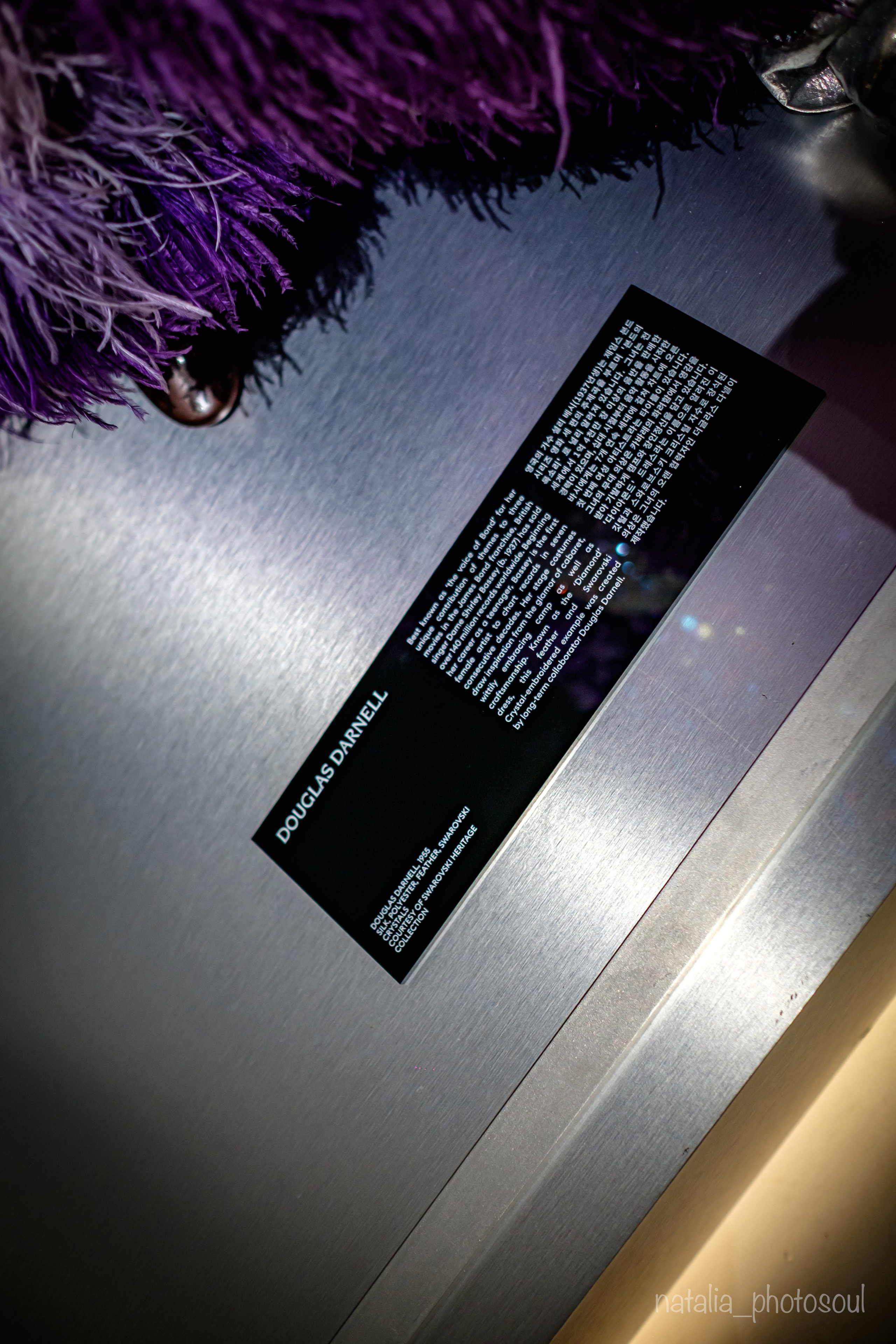 SWAROVSKI MASTERS OF LIGHT FROM VIENNA TO SEOUL. Photographer in Seoul Dobrokvashina Natalya