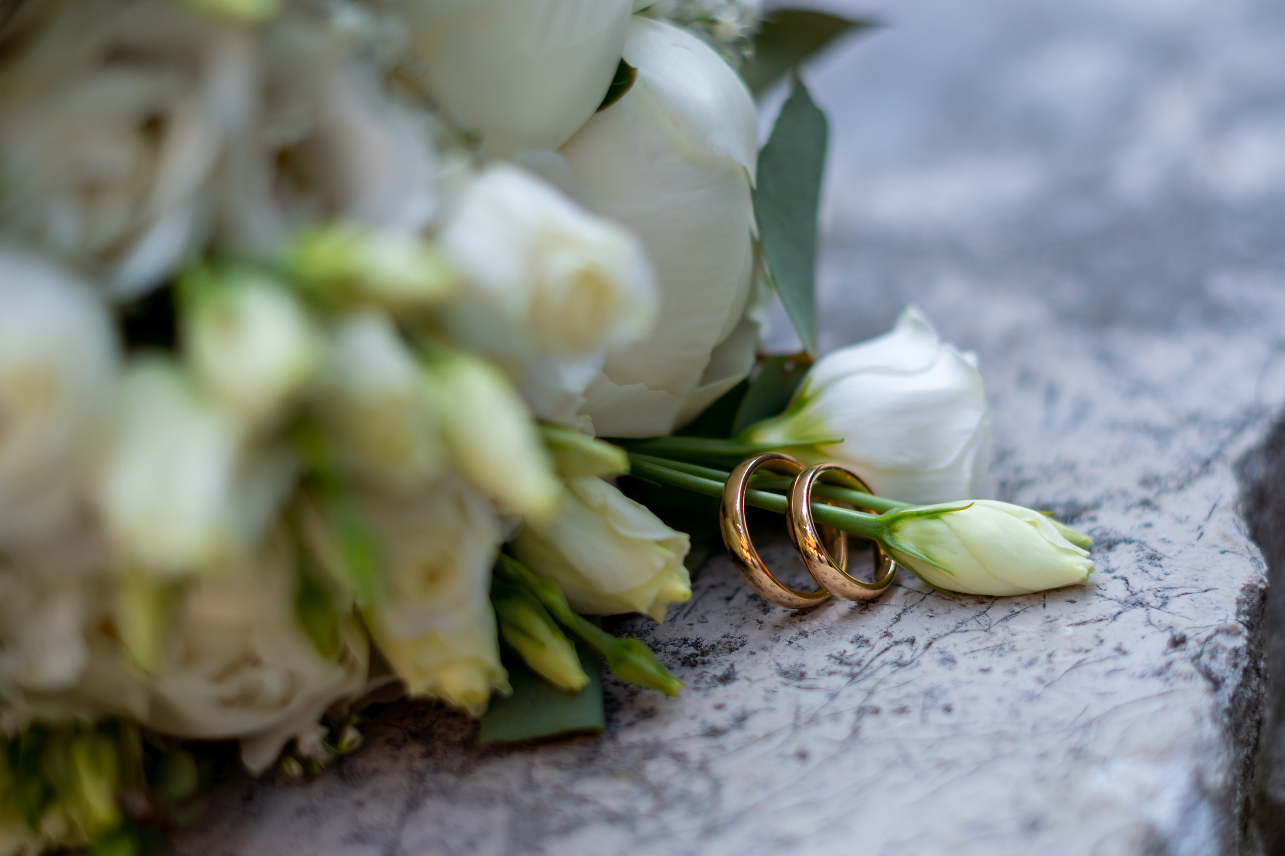 Mocanu Roman di fotografo in Bologna/Modena/Ferrara