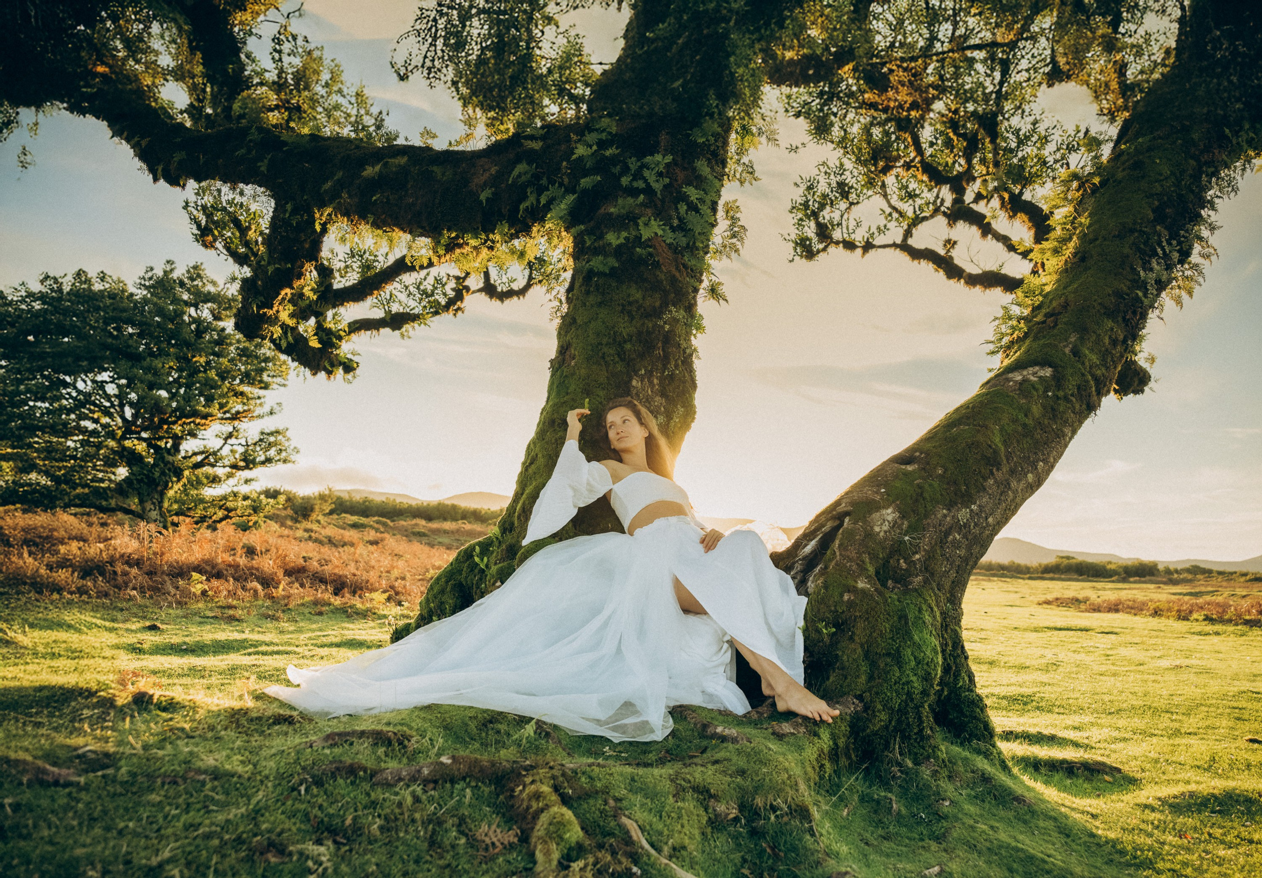 New photoshoots in Madeira: capture your moments!