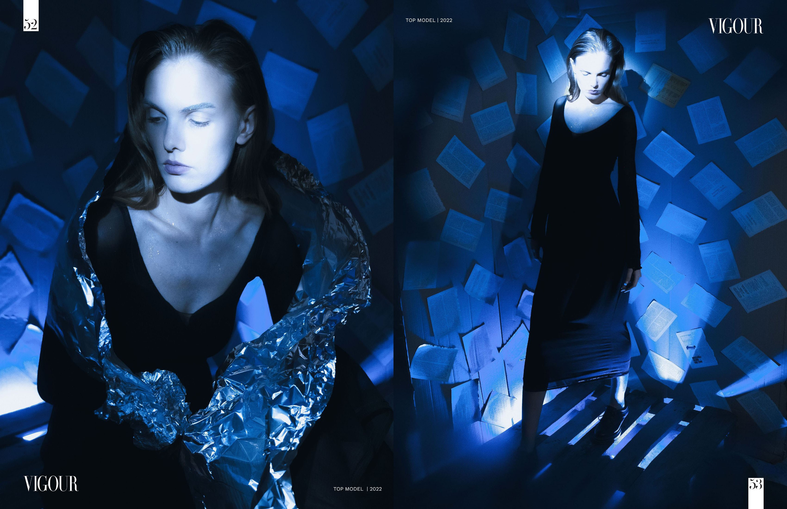 The best publications of the project R136a1