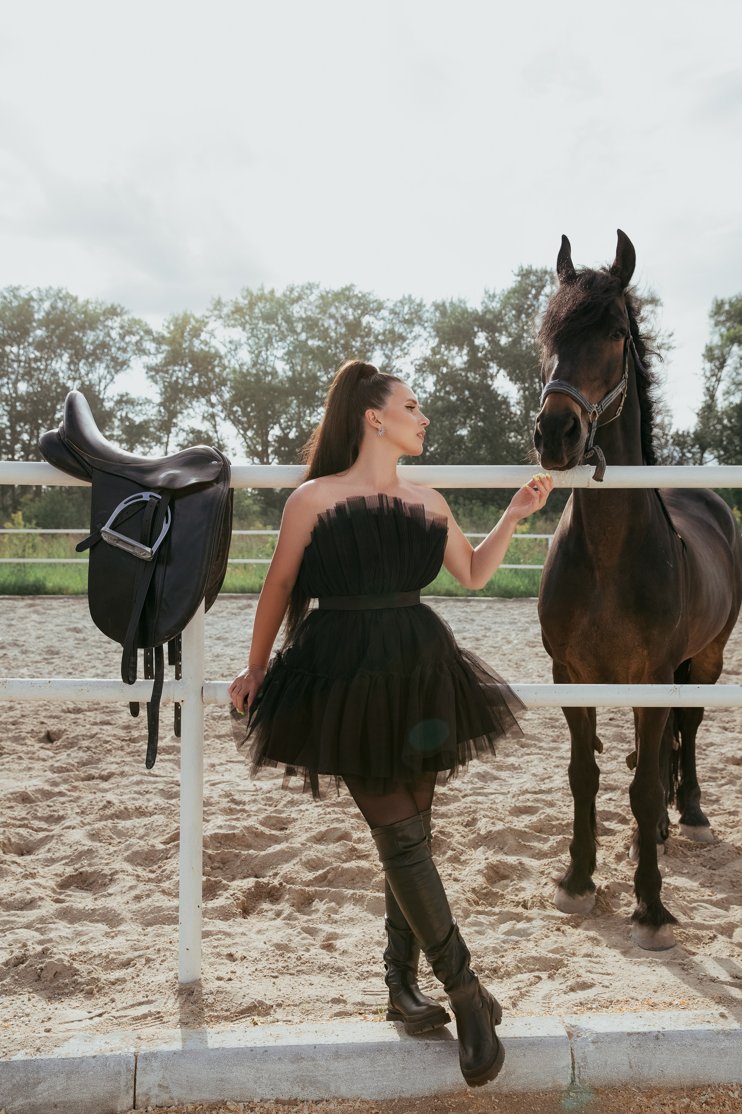 Horse & Rider Photoshoots In Florida