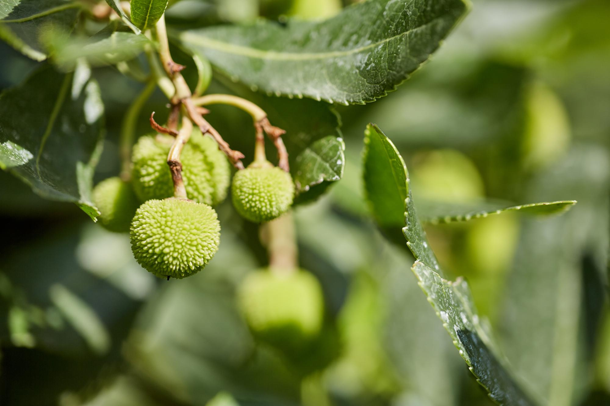 Villa La Magioca. Pražský fotograf | Firemní | Komerční | Průmyslové | PR a událost