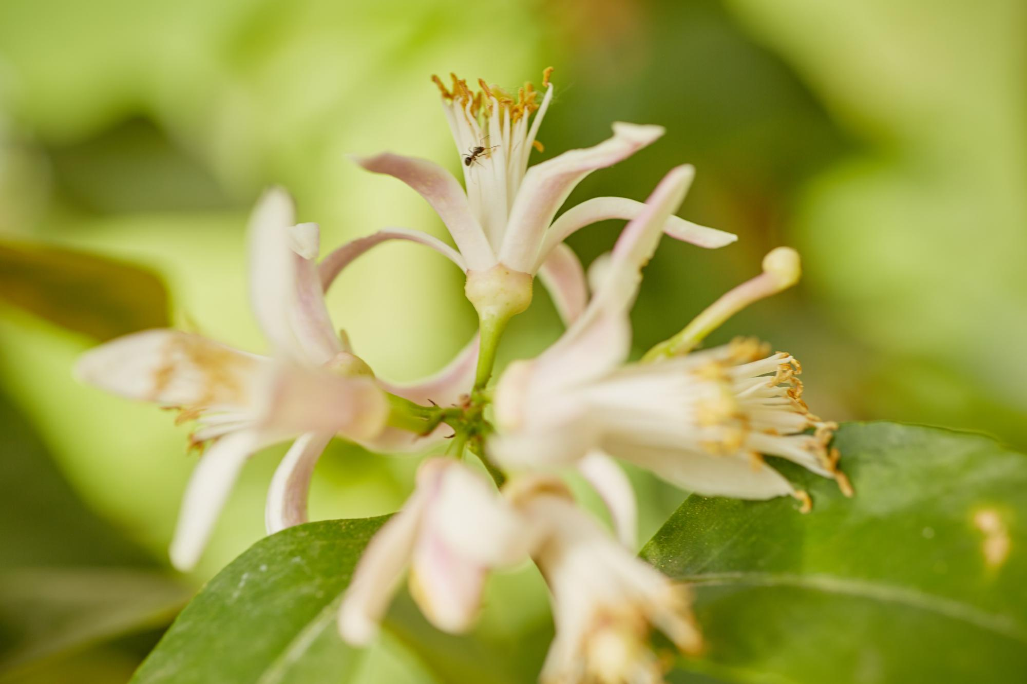 Villa La Magioca. Pražský fotograf | Firemní | Komerční | Průmyslové | PR a událost