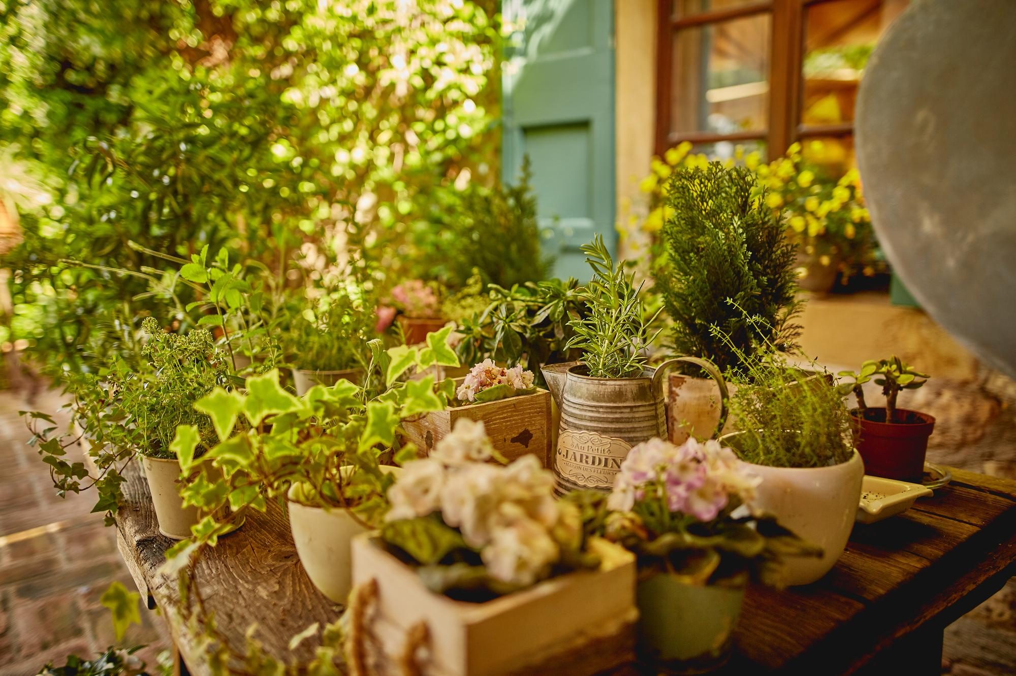 Villa La Magioca. Pražský fotograf | Firemní | Komerční | Průmyslové | PR a událost