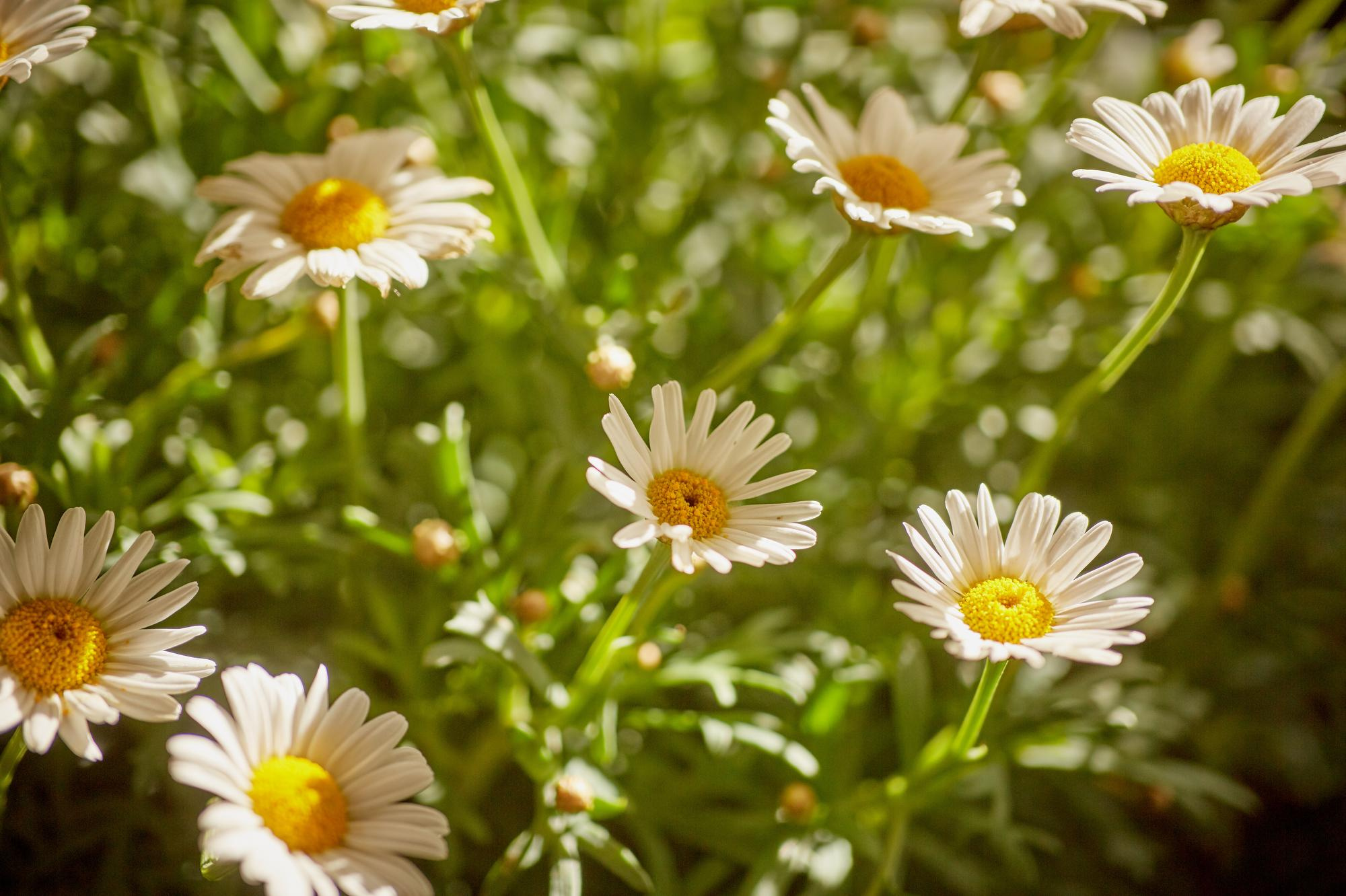 Villa La Magioca. Pražský fotograf | Firemní | Komerční | Průmyslové | PR a událost