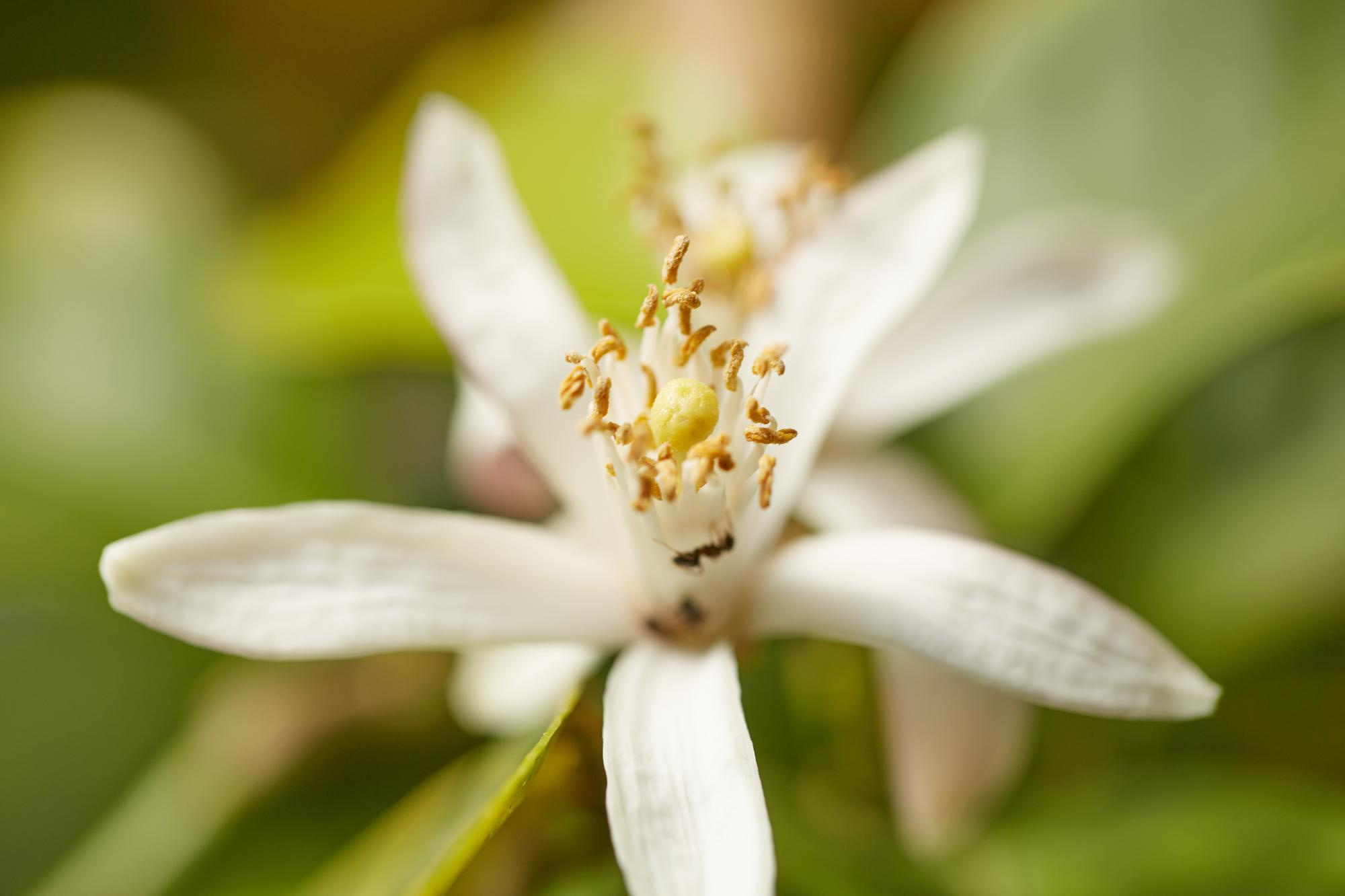 Villa La Magioca. Pražský fotograf | Firemní | Komerční | Průmyslové | PR a událost