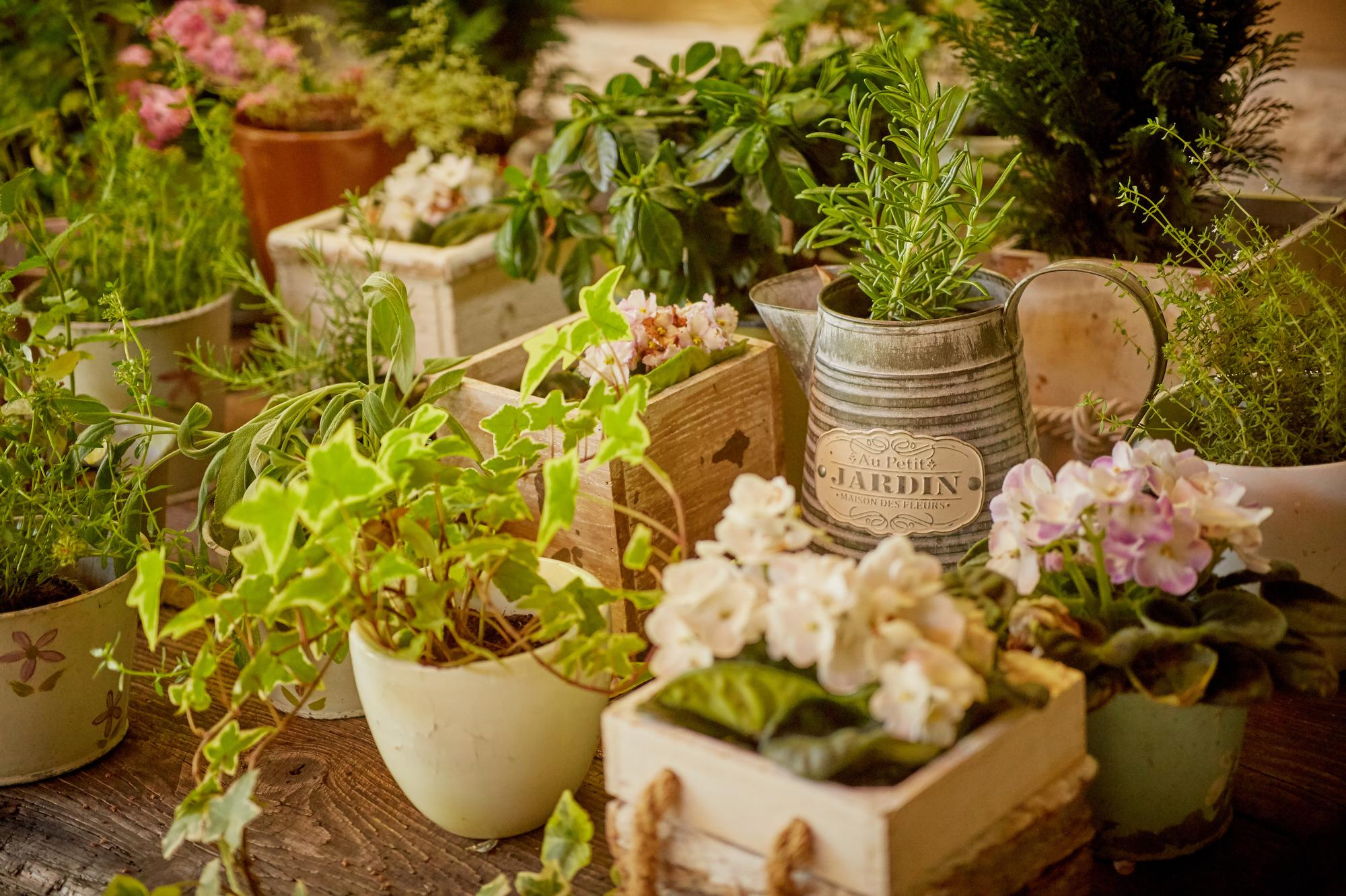 Villa La Magioca. Pražský fotograf | Firemní | Komerční | Průmyslové | PR a událost