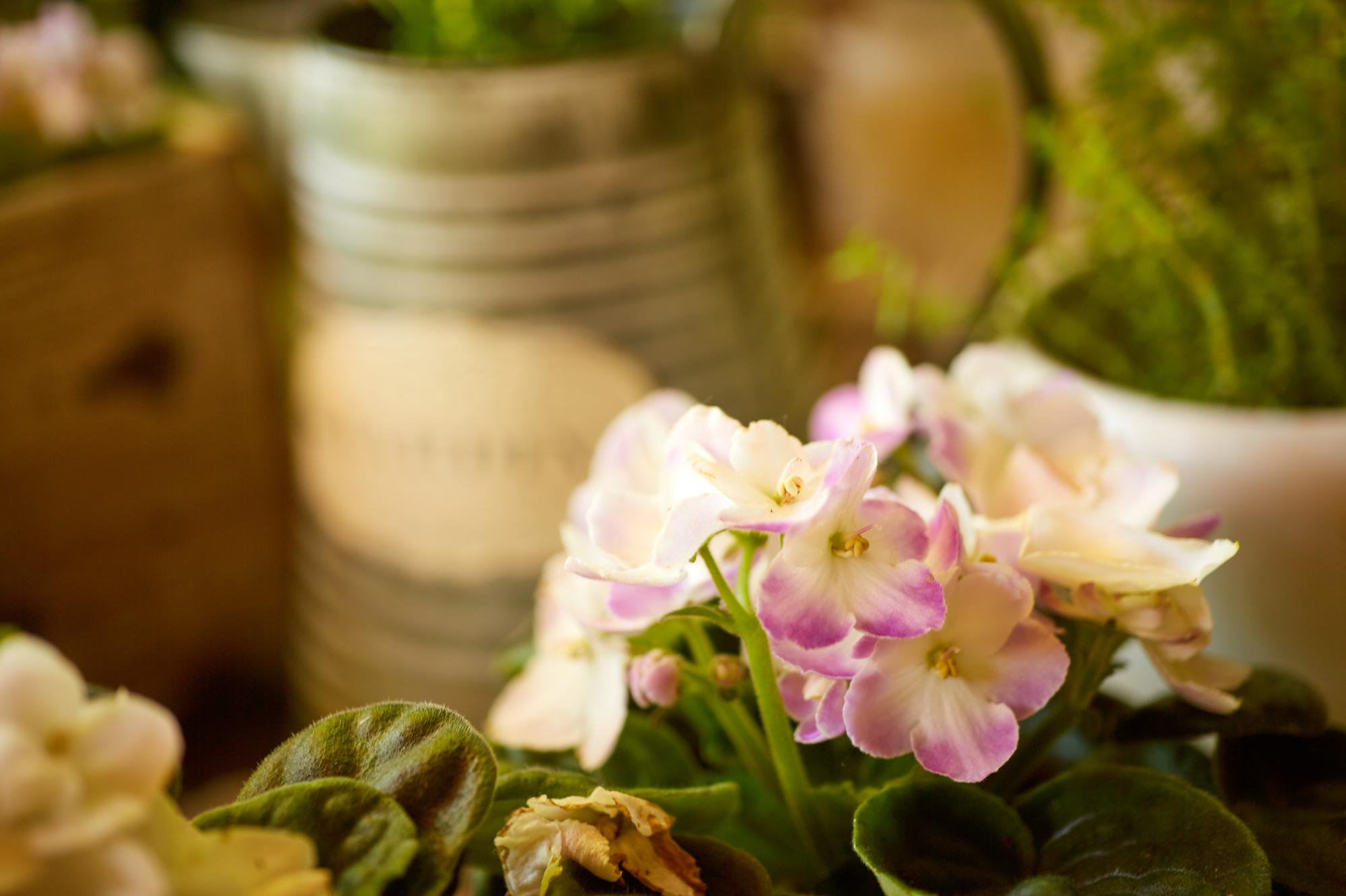 Villa La Magioca. Pražský fotograf | Firemní | Komerční | Průmyslové | PR a událost