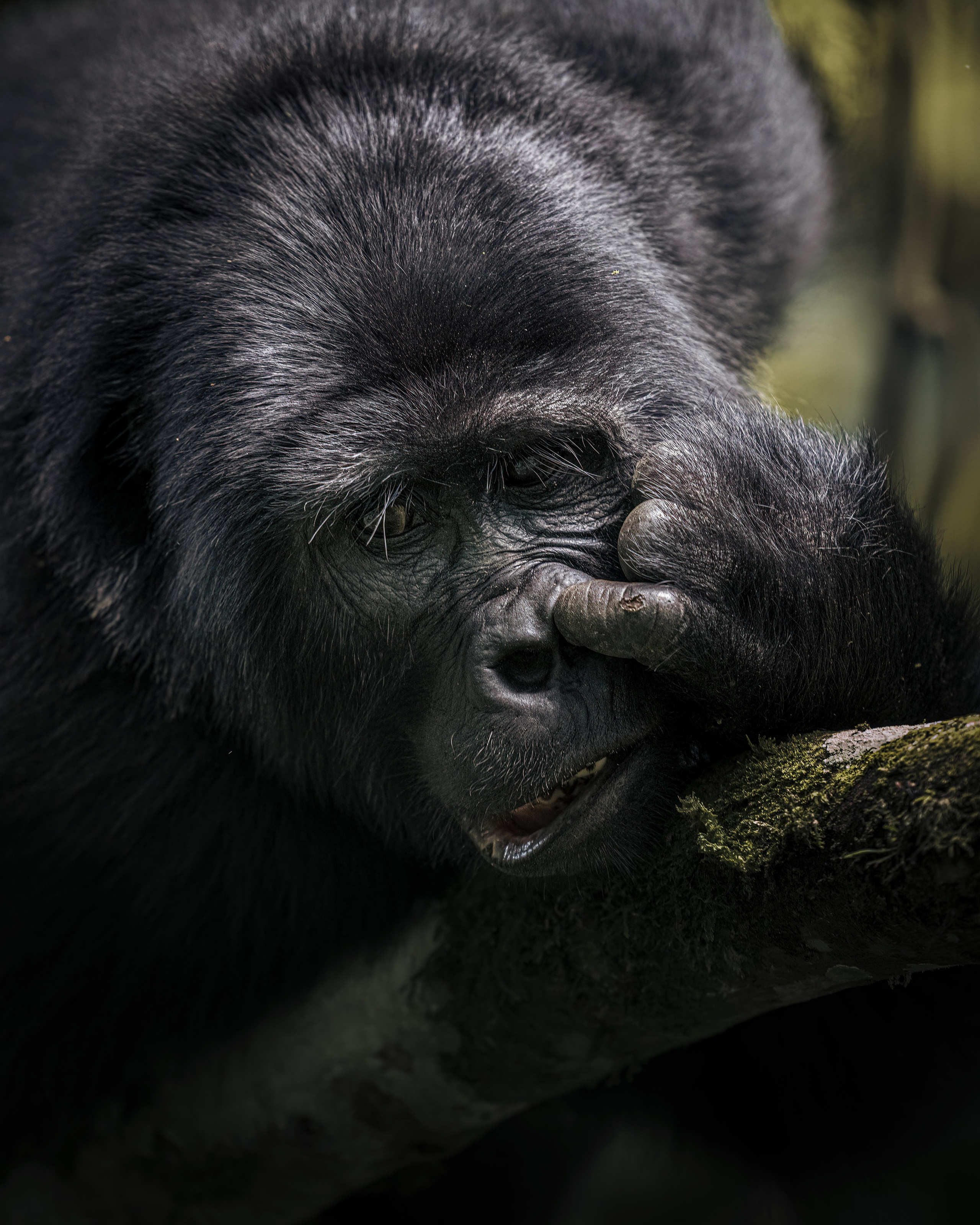 TRIPS. Fine art wildlife photographer Alexandra Surkova