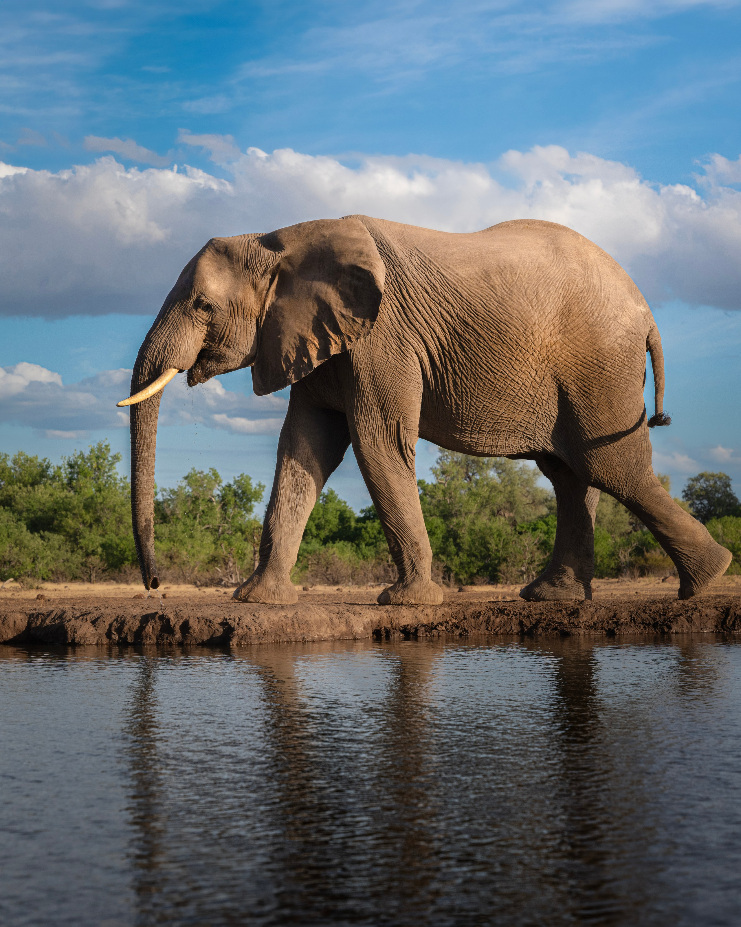 TRIPS. Fine art wildlife photographer Alexandra Surkova