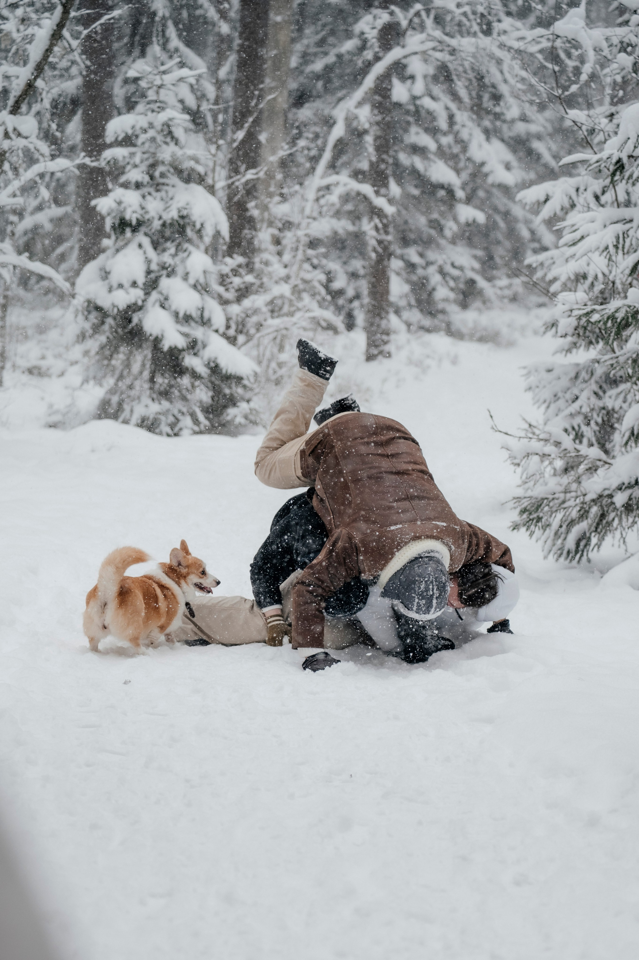 Семья/пара. Фотограф Таллинн — свадьба |семья | lovestory