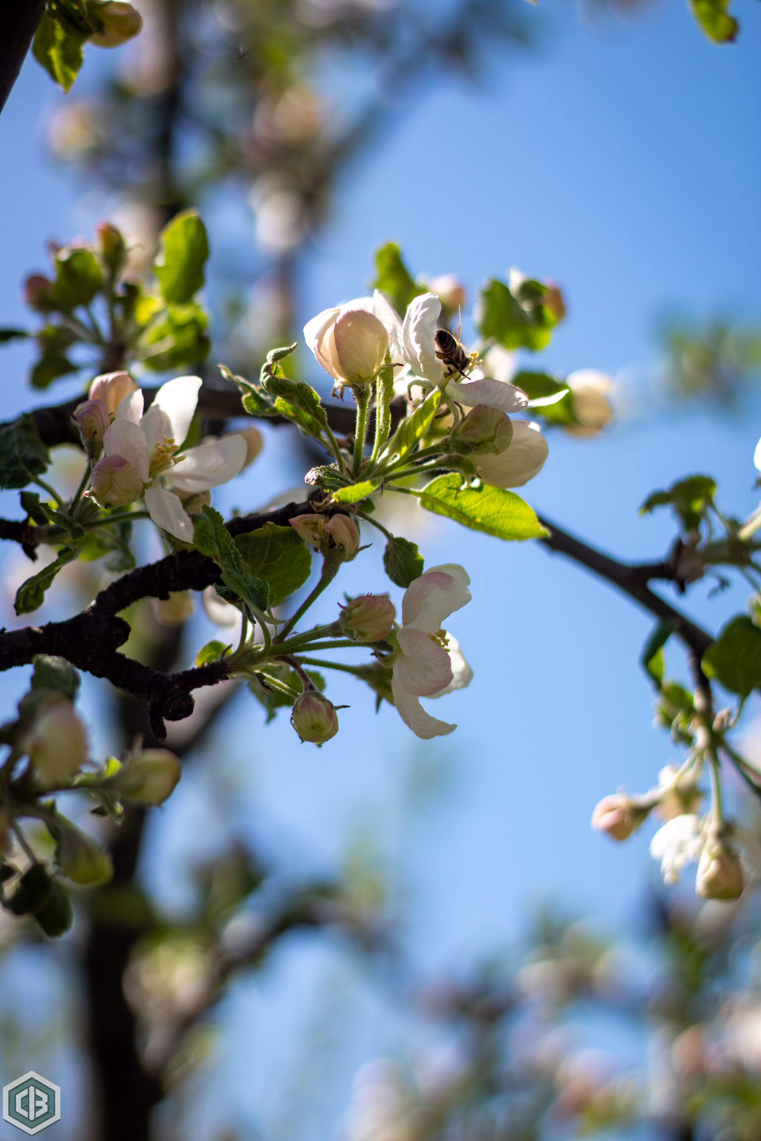 Trip to Mileanca. Cristian Baltag | Photography | Capturing Moments in Iasi
