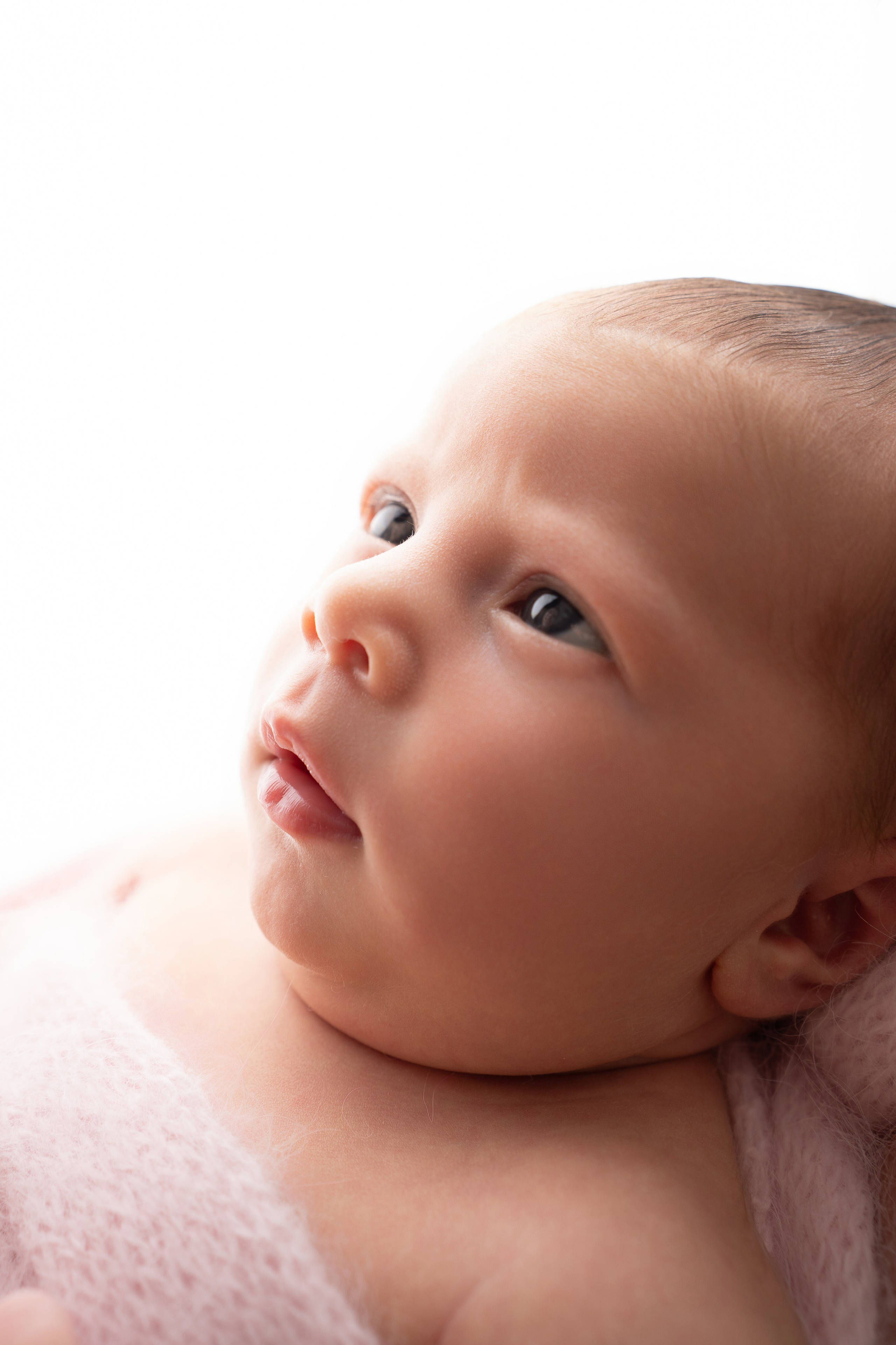 Posed Newborn. Maternity, family and newborn photography in San Francisco Bay Area