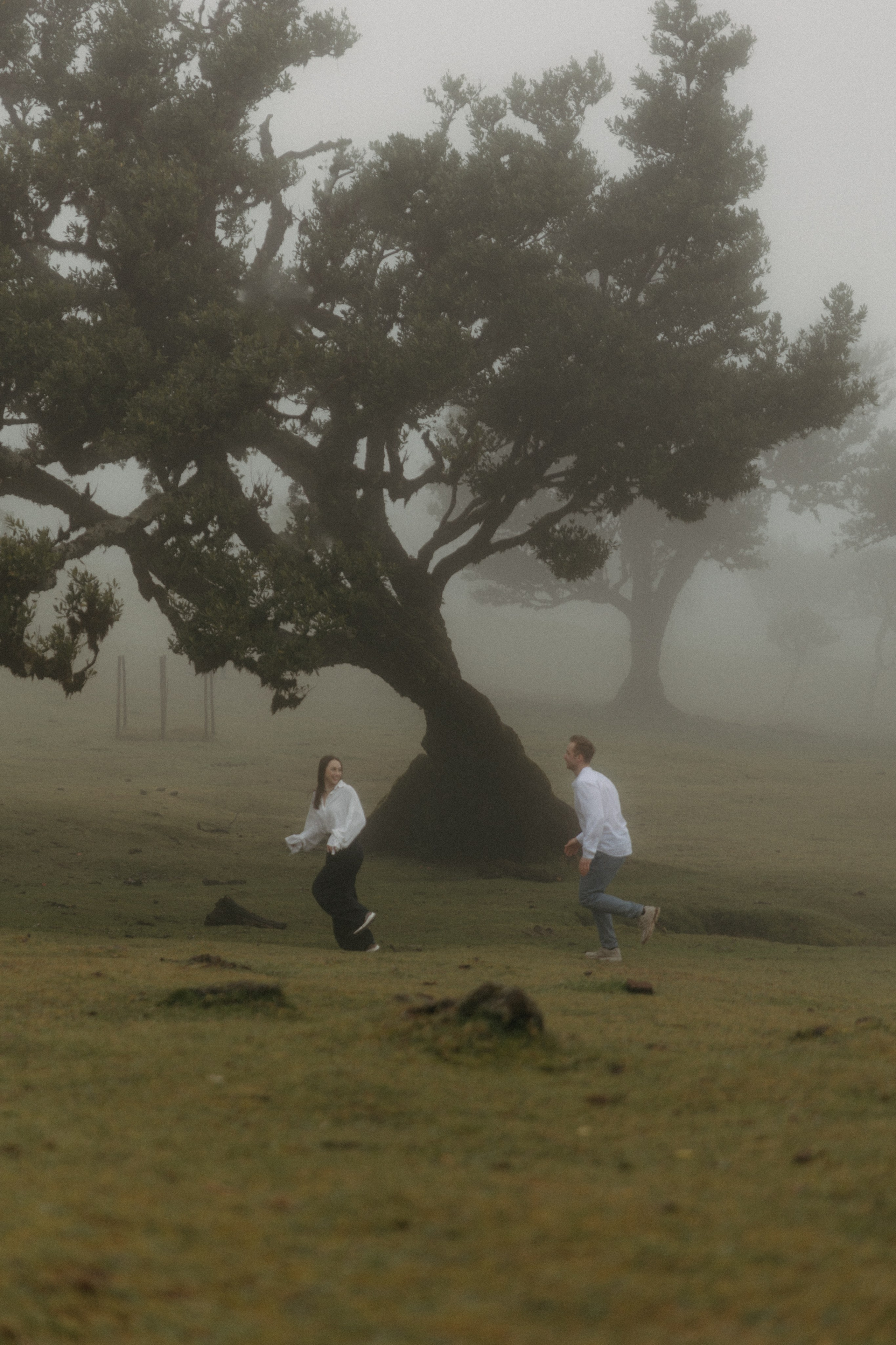 Magic of Fanal Forest. Wedding photographer and videographer based in Timisoara, Romania