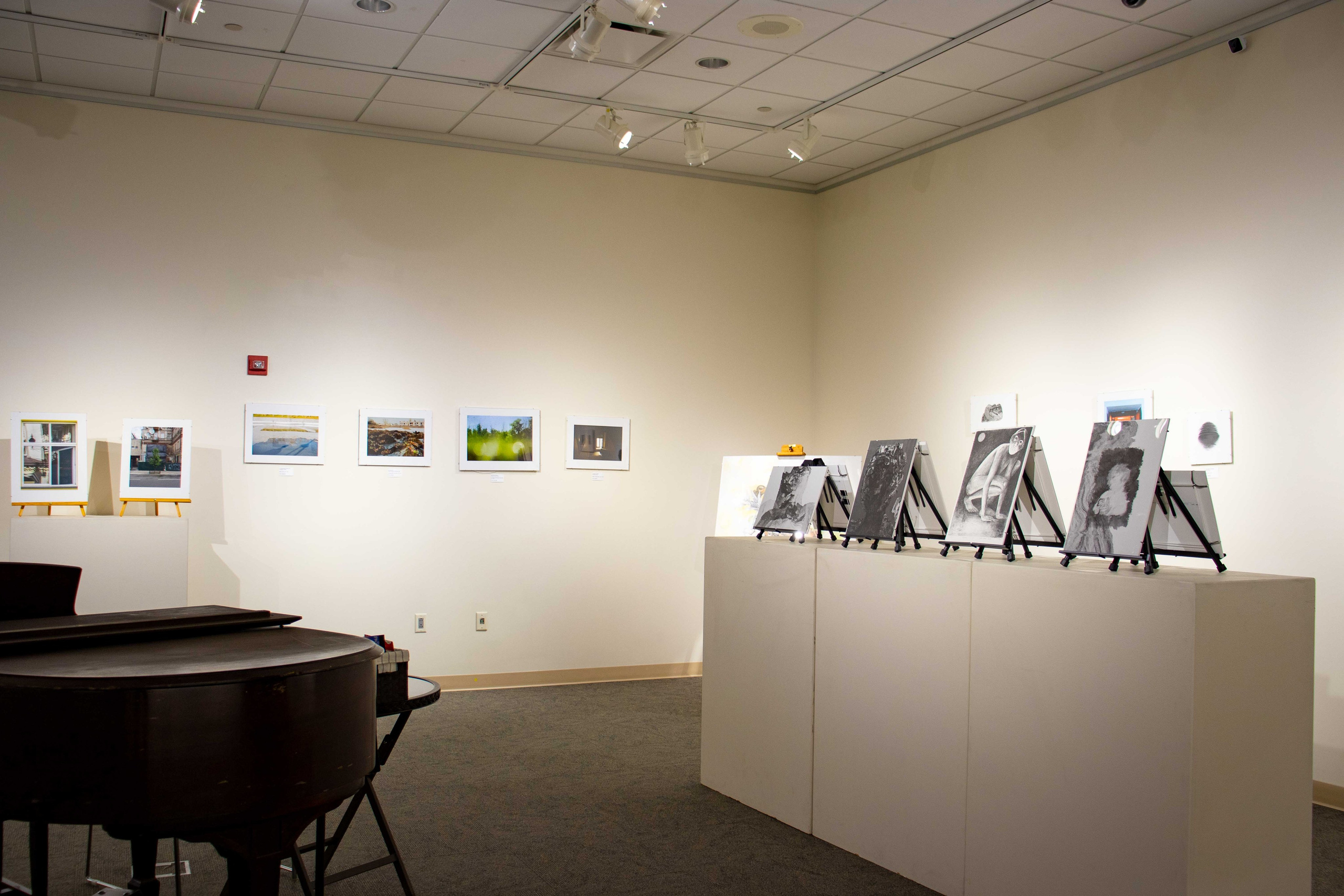 Crossing the Line USA anna biletska