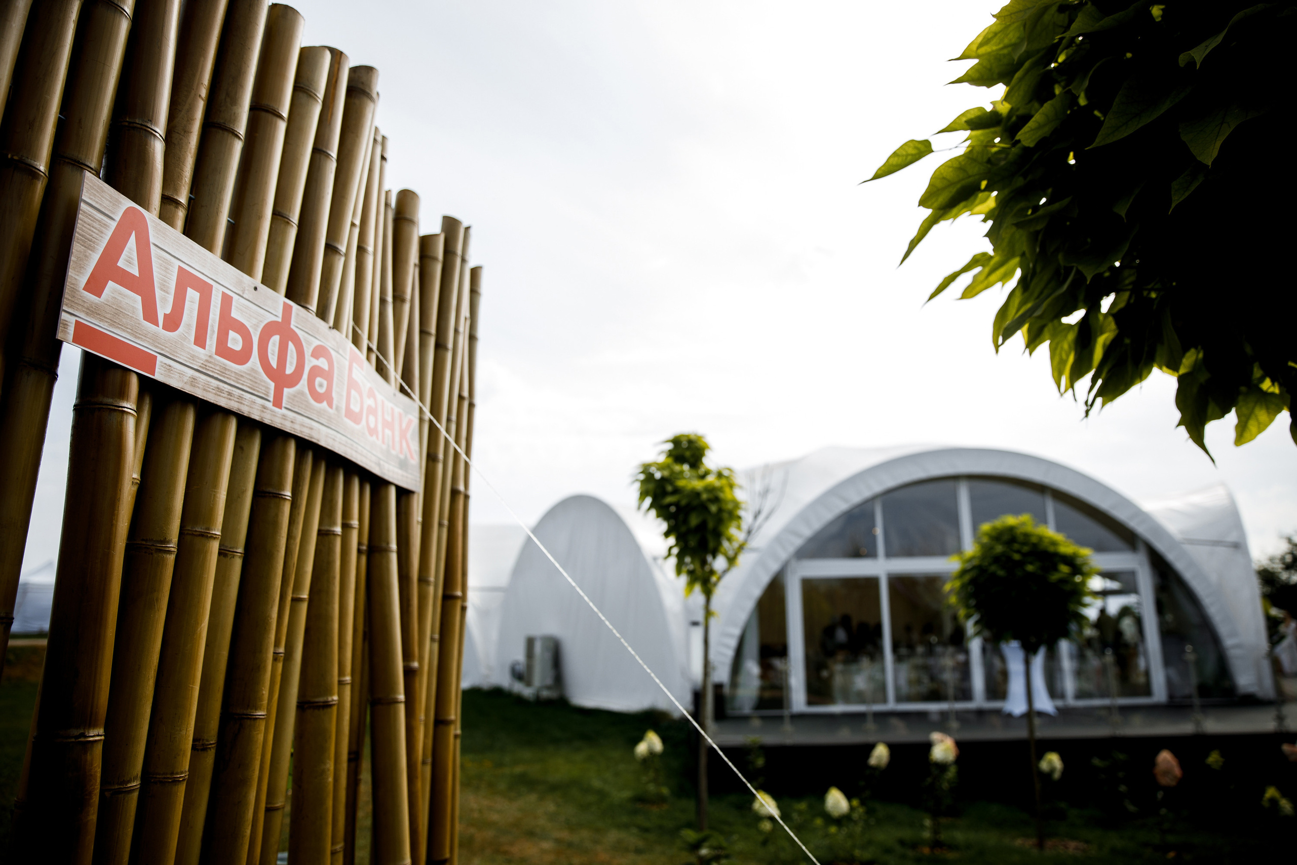 Vibse Land Альфа Банк Mastercard. Свадебный фотограф Каледич Тимофей