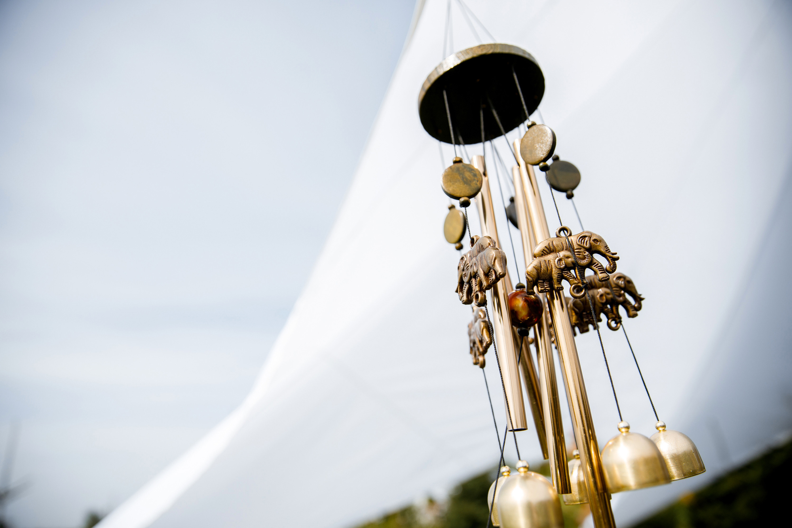 Vibse Land Альфа Банк Mastercard. Свадебный фотограф Каледич Тимофей