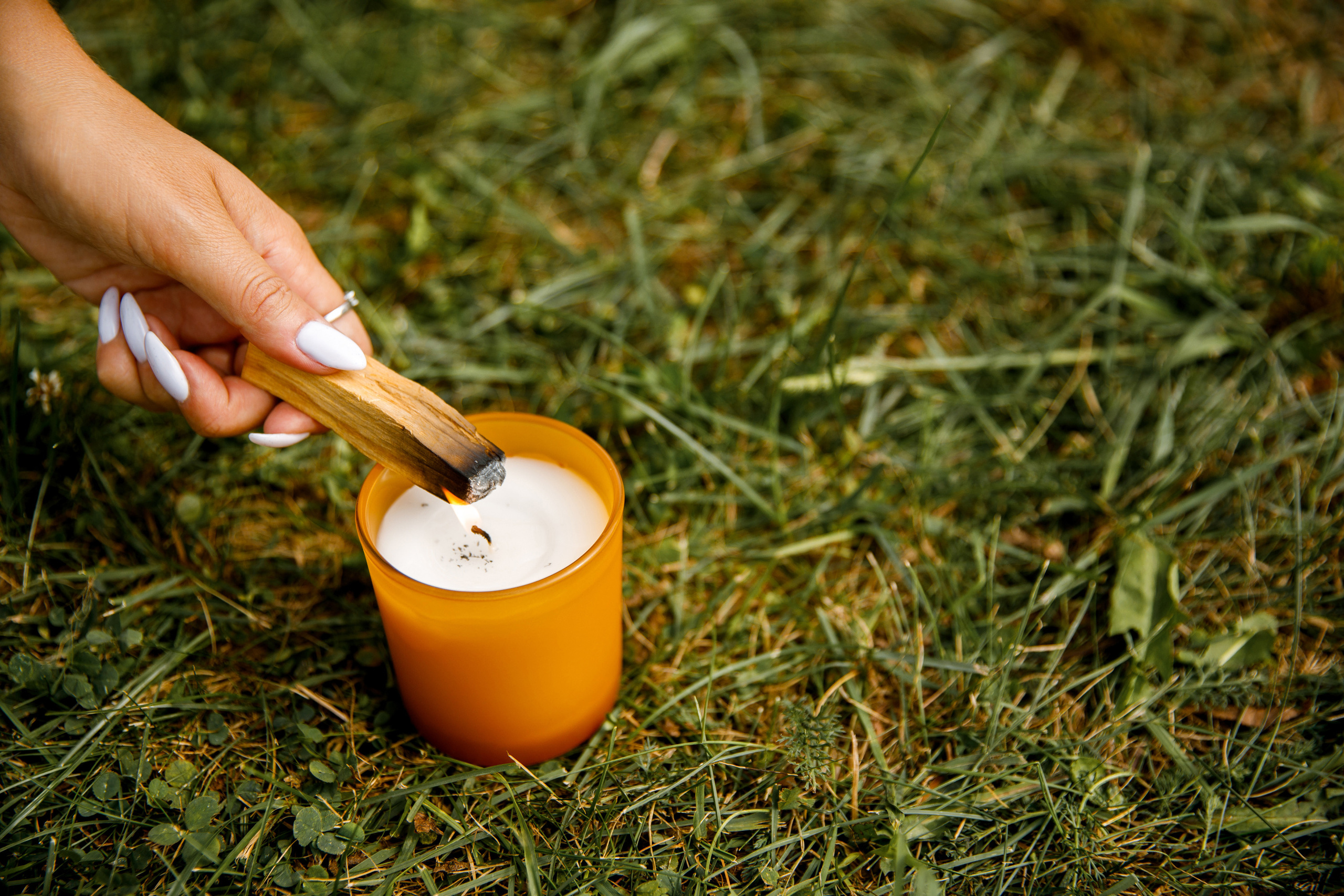 Vibse Land Альфа Банк Mastercard. Свадебный фотограф Каледич Тимофей