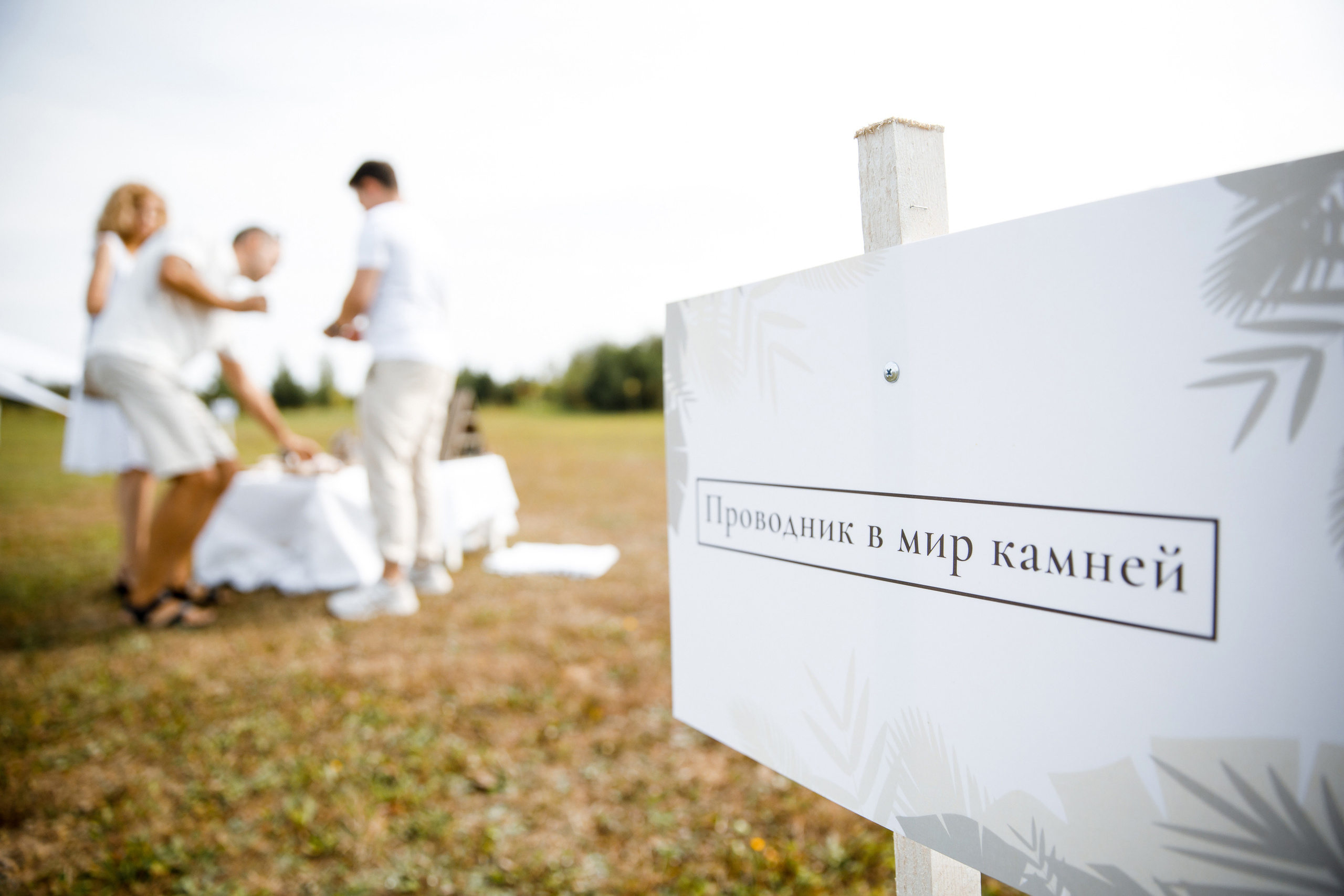 Vibse Land Альфа Банк Mastercard. Свадебный фотограф Каледич Тимофей