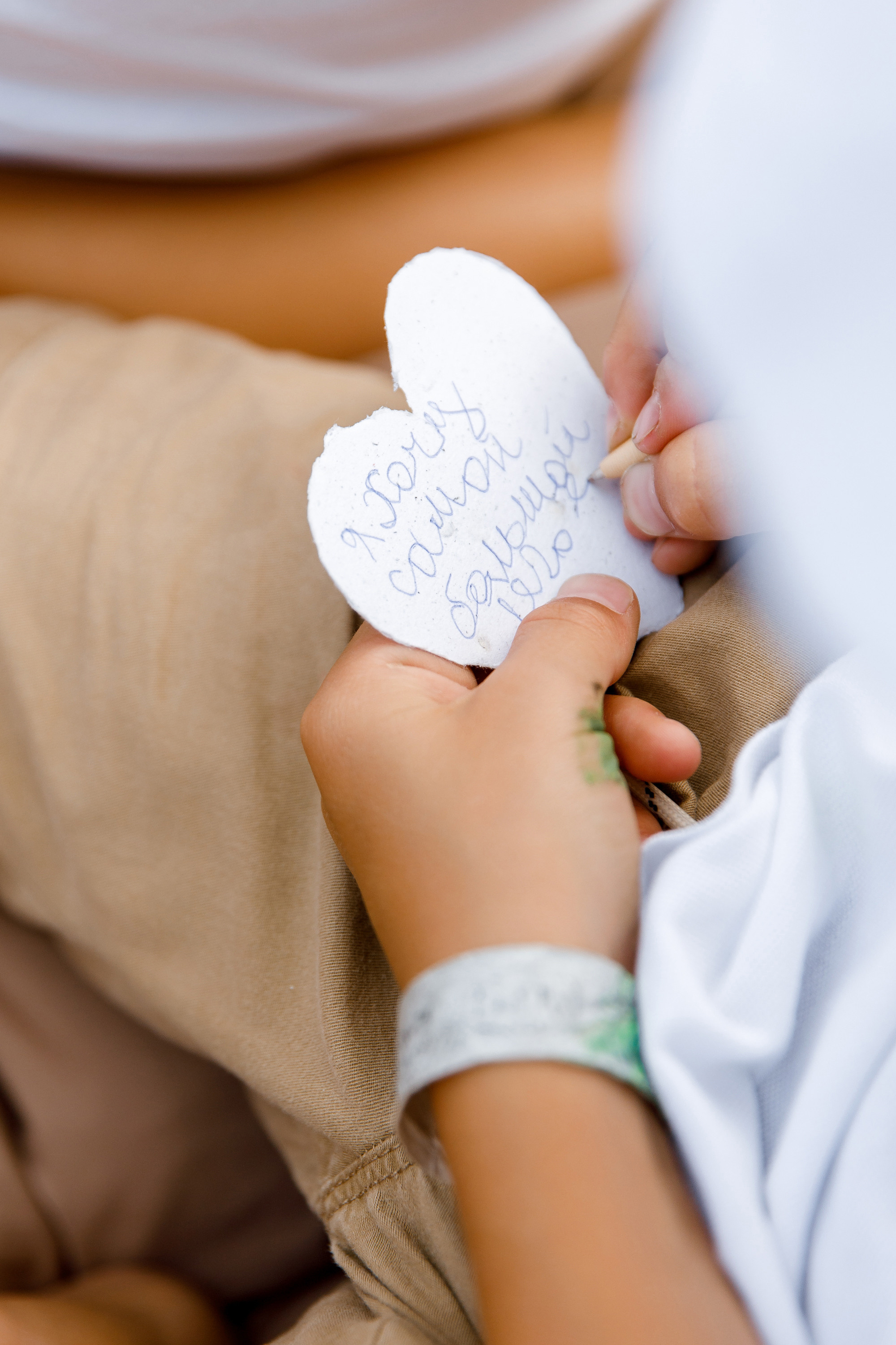 Vibse Land Альфа Банк Mastercard. Свадебный фотограф Каледич Тимофей