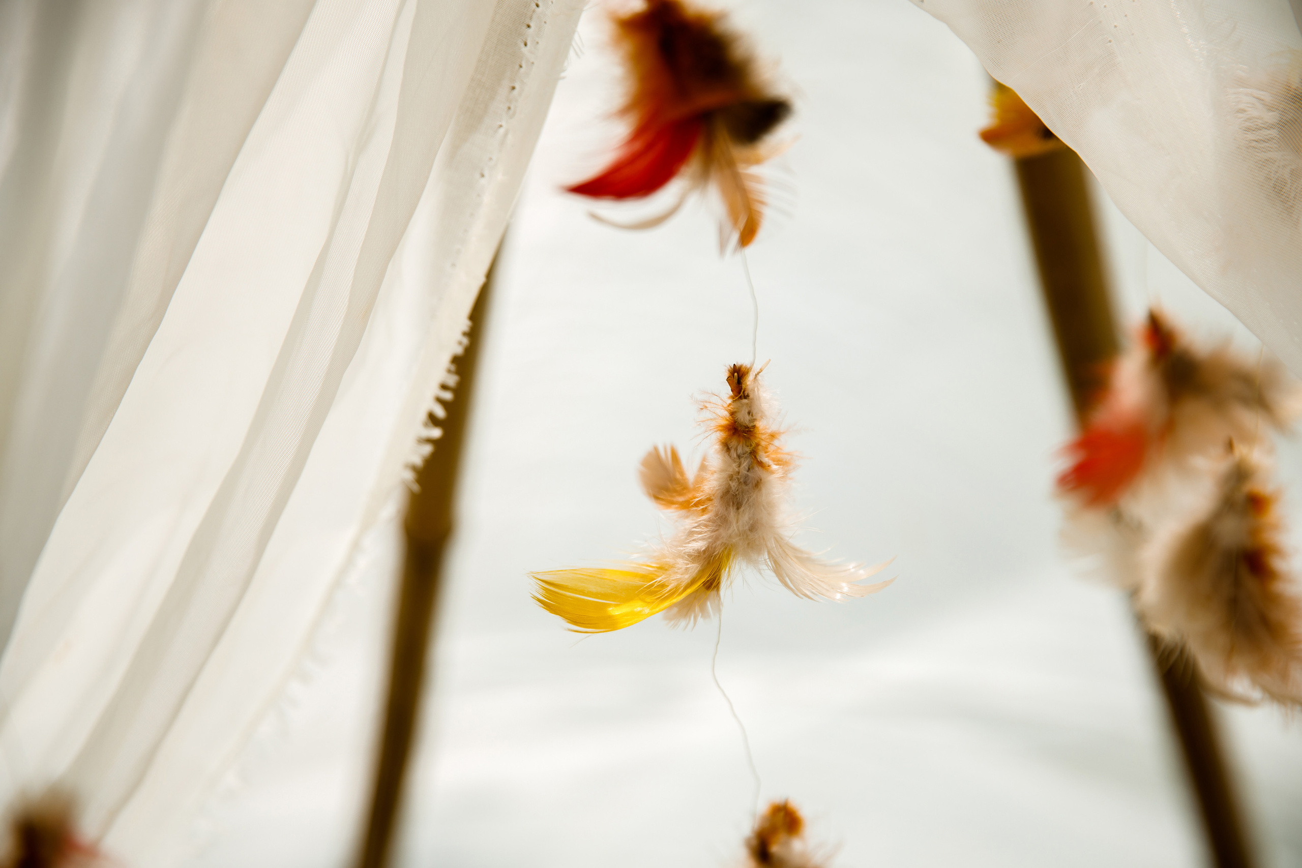 Vibse Land Альфа Банк Mastercard. Свадебный фотограф Каледич Тимофей