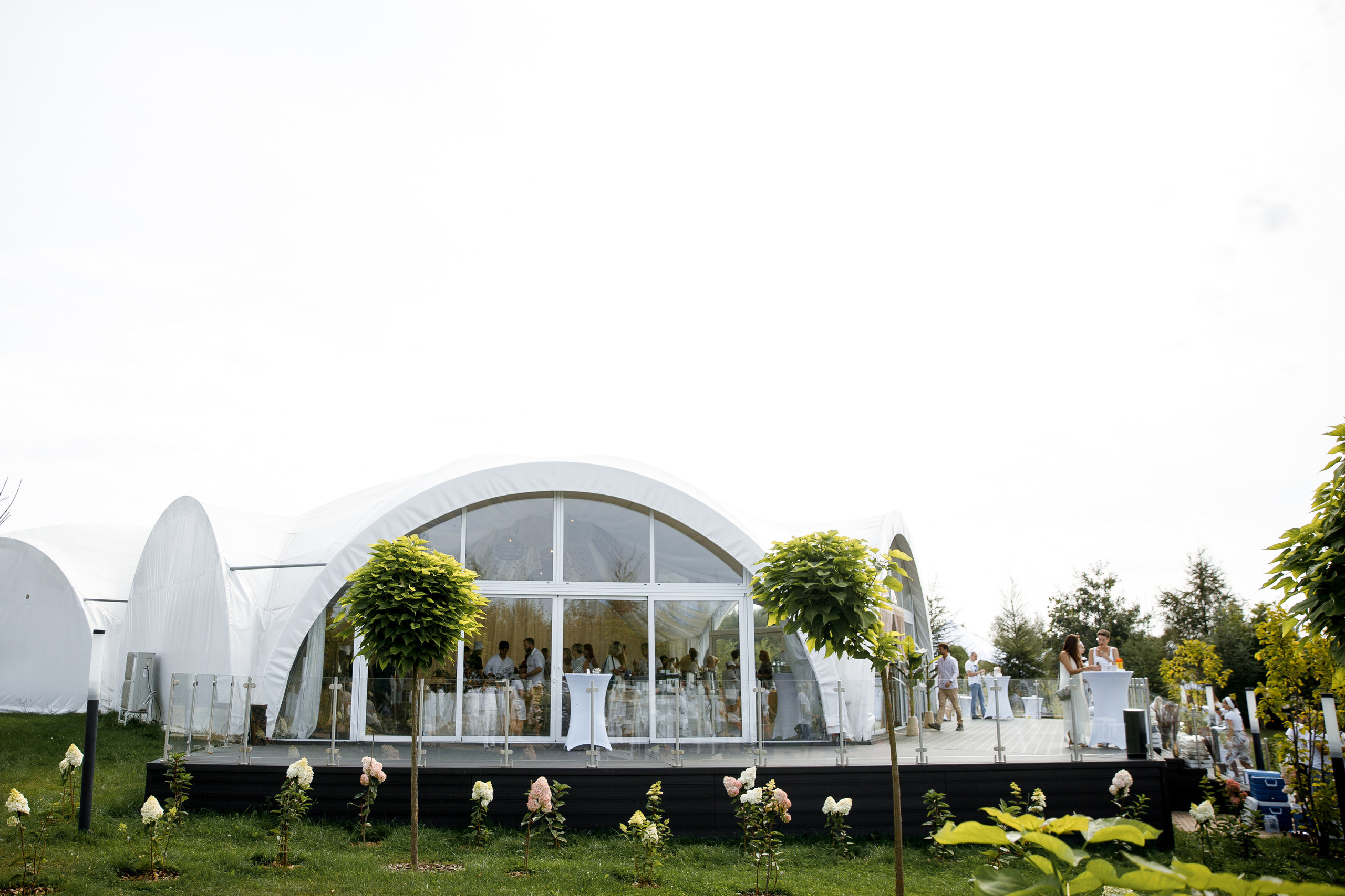 Vibse Land Альфа Банк Mastercard. Свадебный фотограф Каледич Тимофей