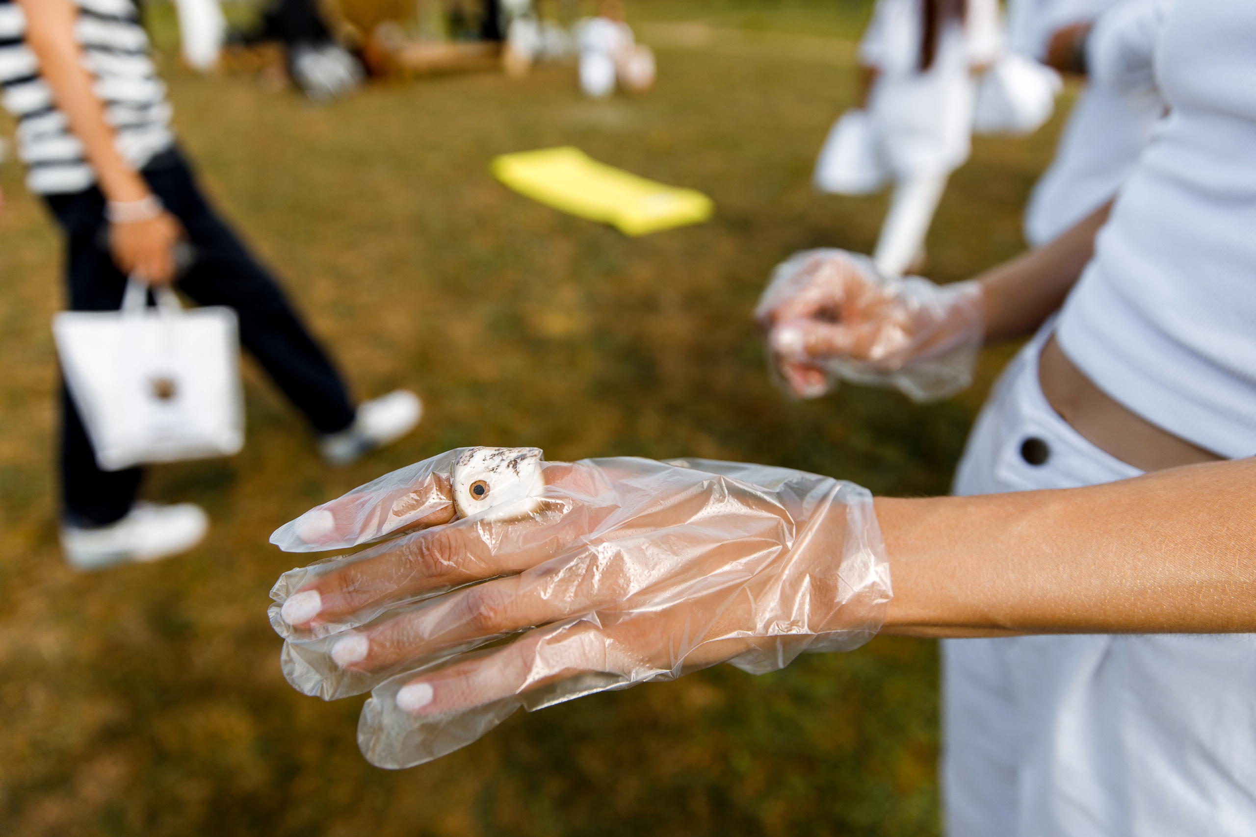 Vibse Land Альфа Банк Mastercard. Свадебный фотограф Каледич Тимофей