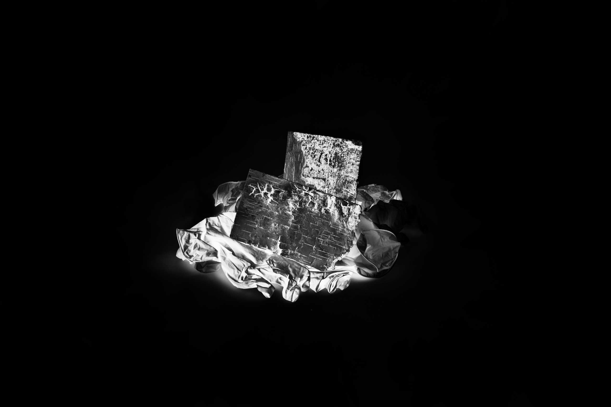 Consuming Nature. Maria Bogachek Photography